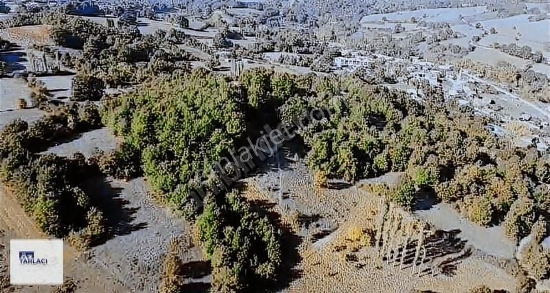 Mustafakemalpaşa Akarca'da 12500m2 Otel İmarli - Görsel 4