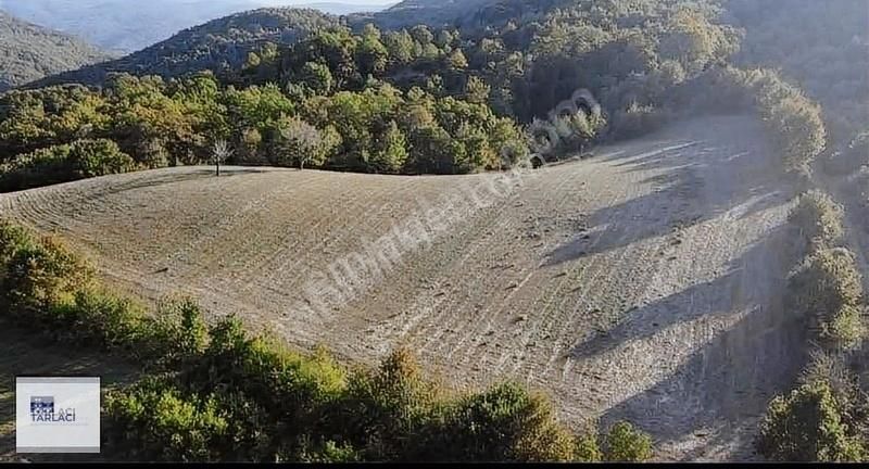 Mustafakemalpaşa Akarca'da 12500m2 Otel İmarli - Görsel 5