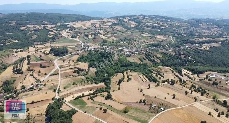 Bursa İnegöl Tekkeköy'de Ulaşımı Kolay Asfalta Yakın Hobi Bahçes
