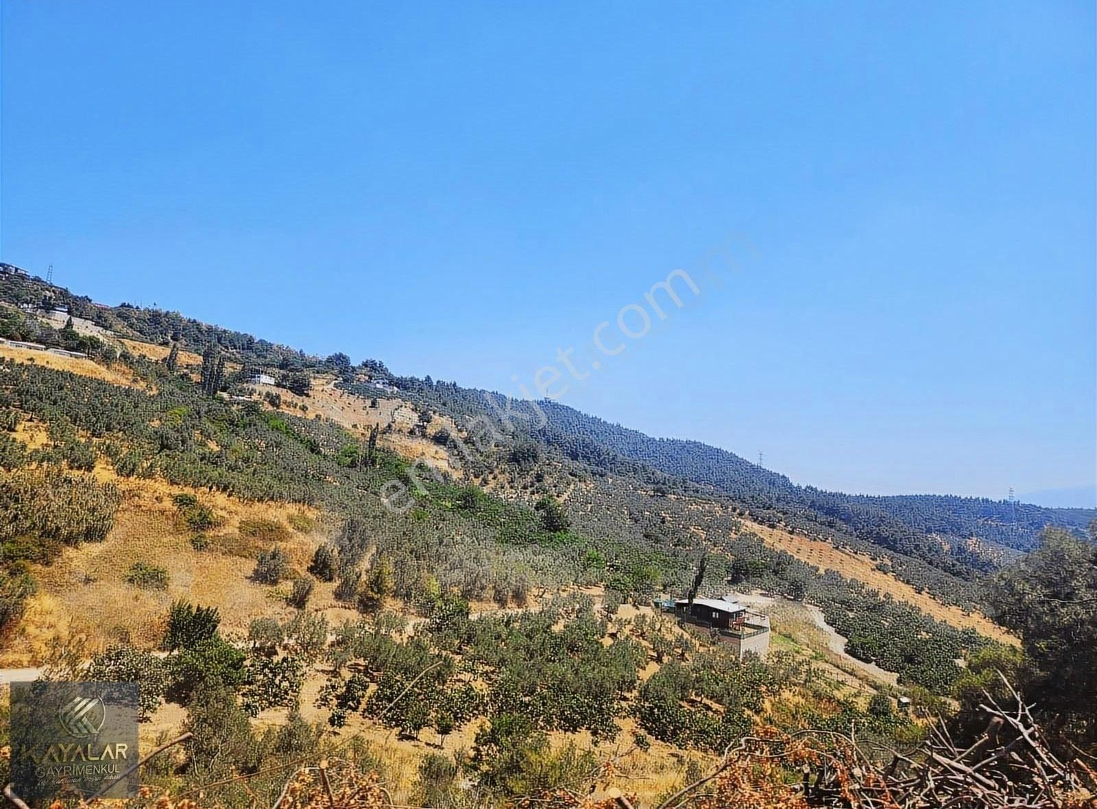 Kayalardan Gündoğduda Mükemmel Fiyata Müstakil (3 Tapu) Arazi - Görsel 10