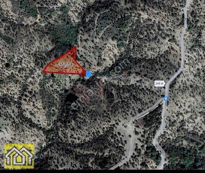 Seferihisar Kavakdere Barajı Mevki 5500m2 Bakımlı Zeytinlik - Görsel 10