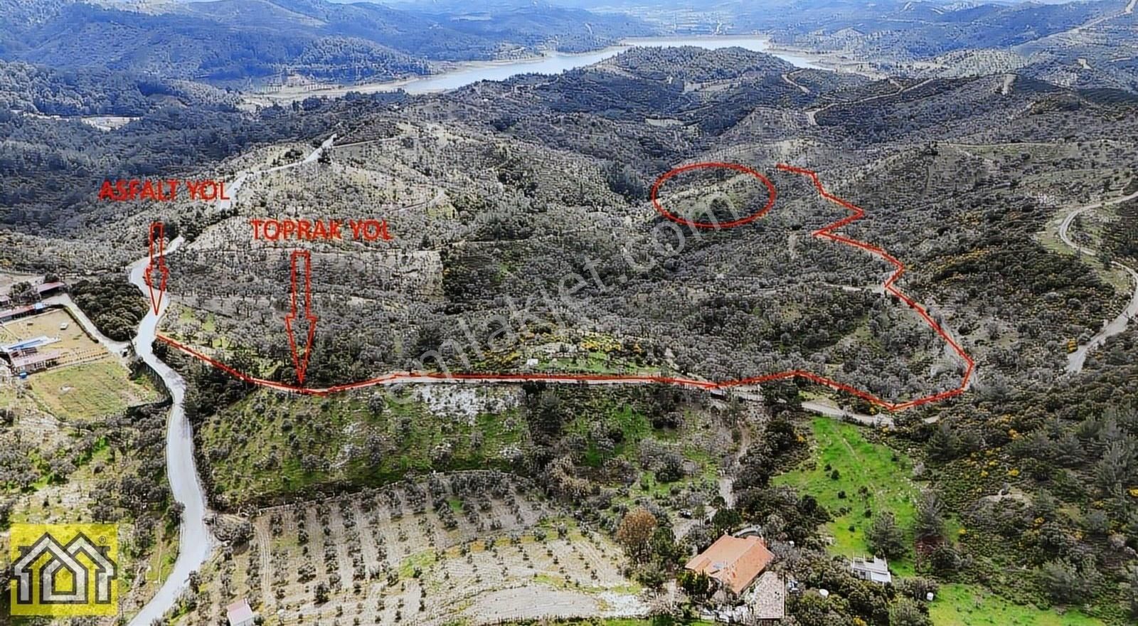 Seferihisar Kavakdere Barajı Mevki 5500m2 Bakımlı Zeytinlik - Görsel 7
