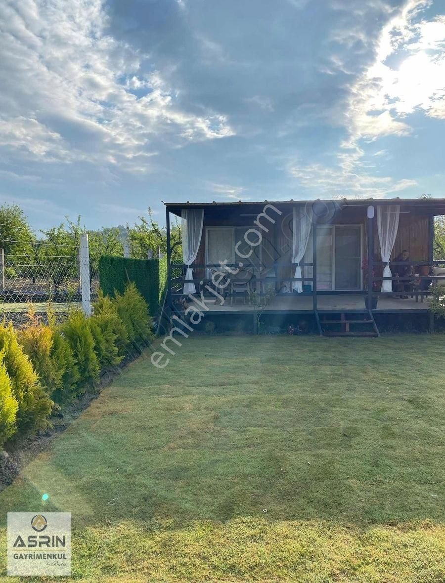 Kuşadası Kirazlı Köyünde Herşeyi Hazır Bahçe - Görsel 4