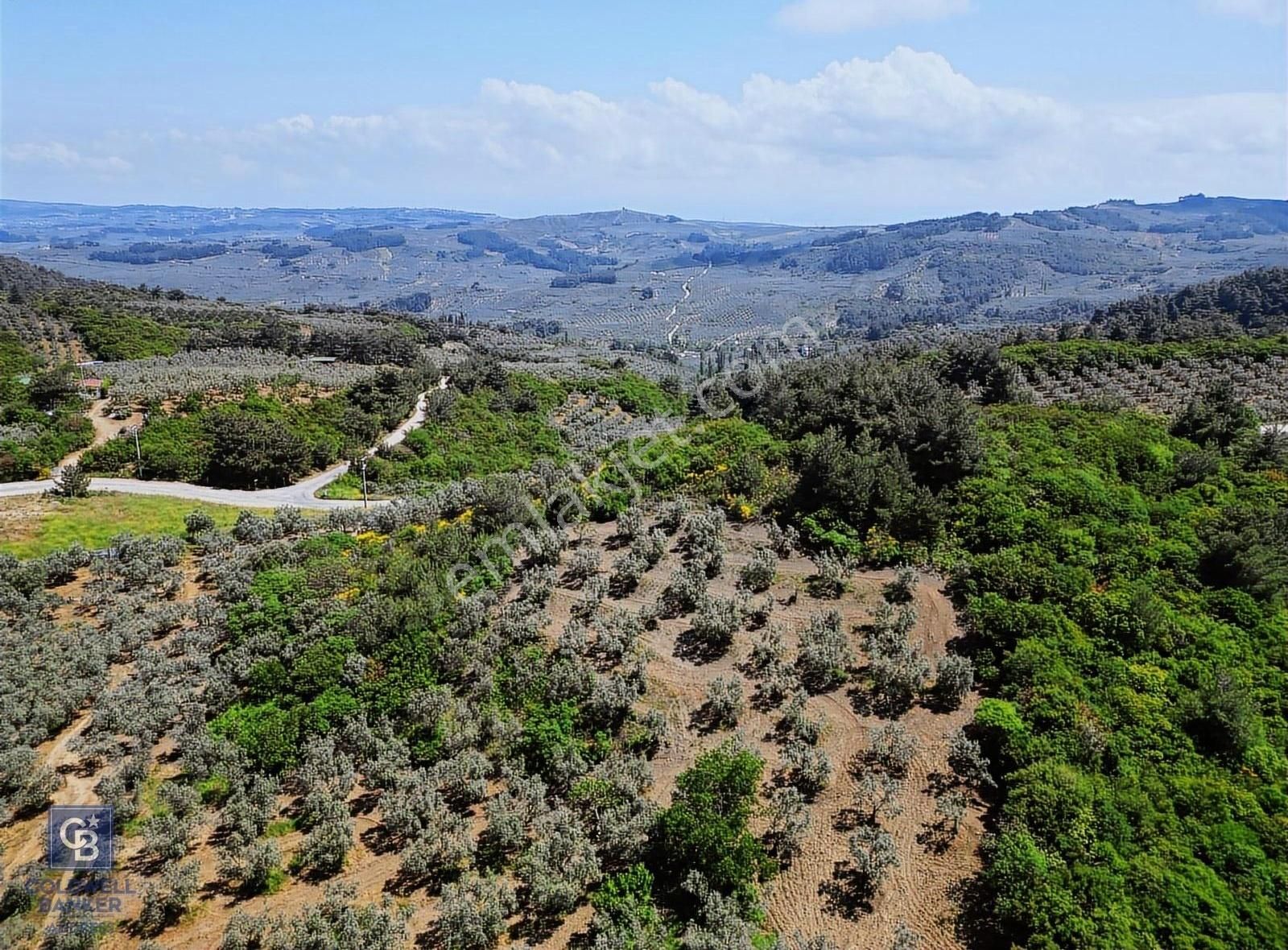 Bursa, Mudanya Halitpaşa'da Satılık 1/3 Hisse Arazi - Görsel 5