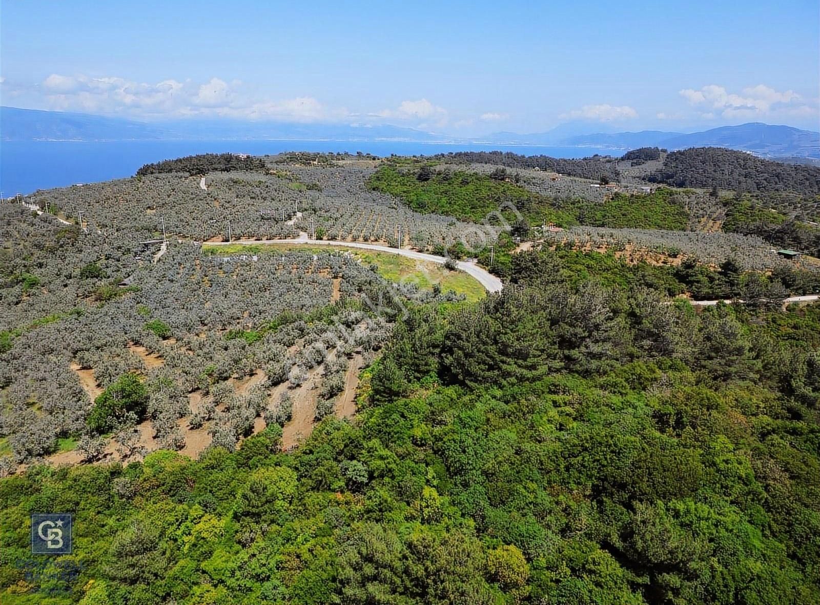 Bursa, Mudanya Halitpaşa'da Satılık 1/3 Hisse Arazi - Görsel 9