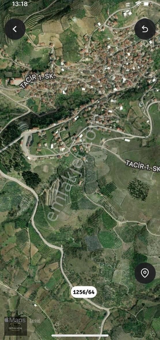 915 M2 Asfalt Cephe Zeytin Bahçesi