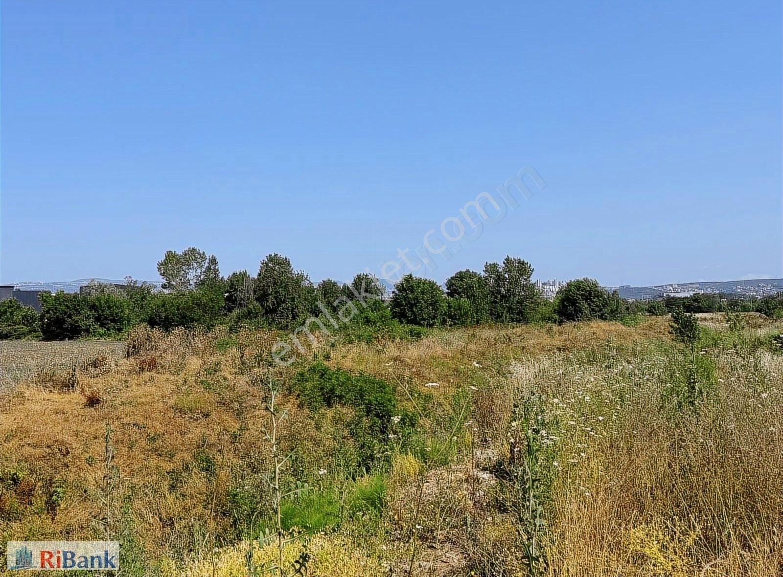 Ribank'tan 3728 M² %80 Bacalı Sanayi İmarlı Arsa