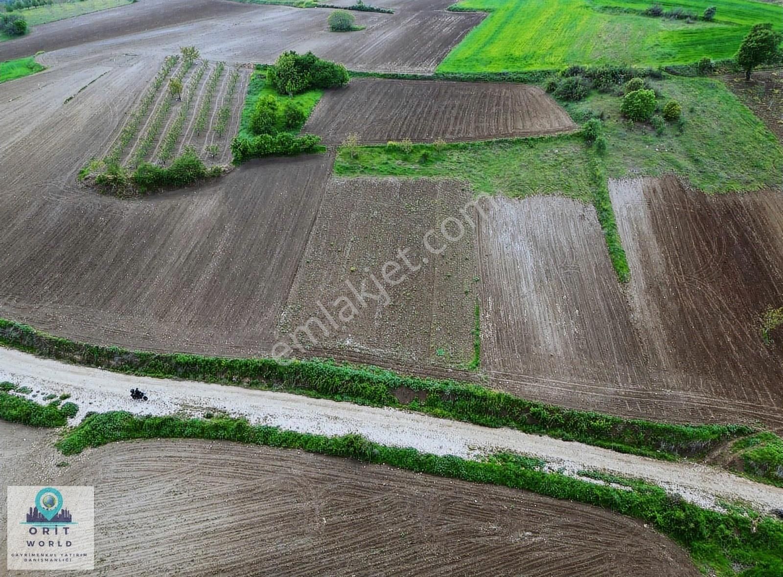 Karagölet İleri Sanayi Teknolojileri Genişleme Alanında 1650m2 - Görsel 2