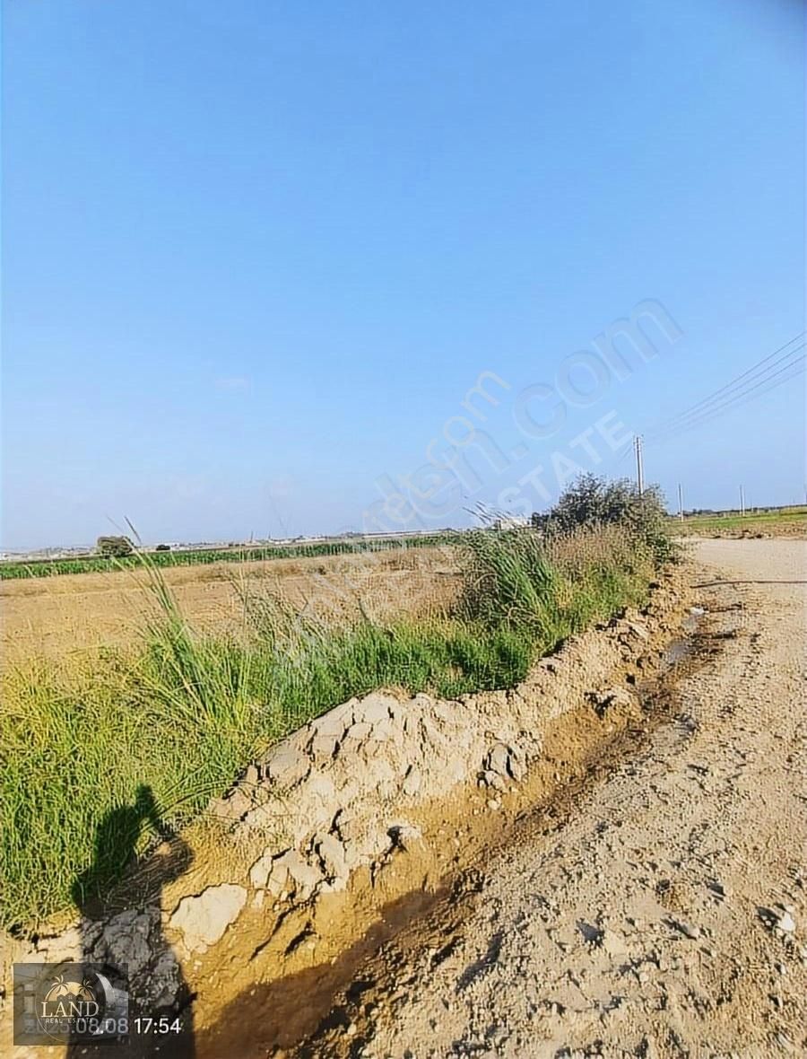 Land Real Estate Emlakdan Demircilerde 5 Donum İmara Sıfır Acil - Görsel 3