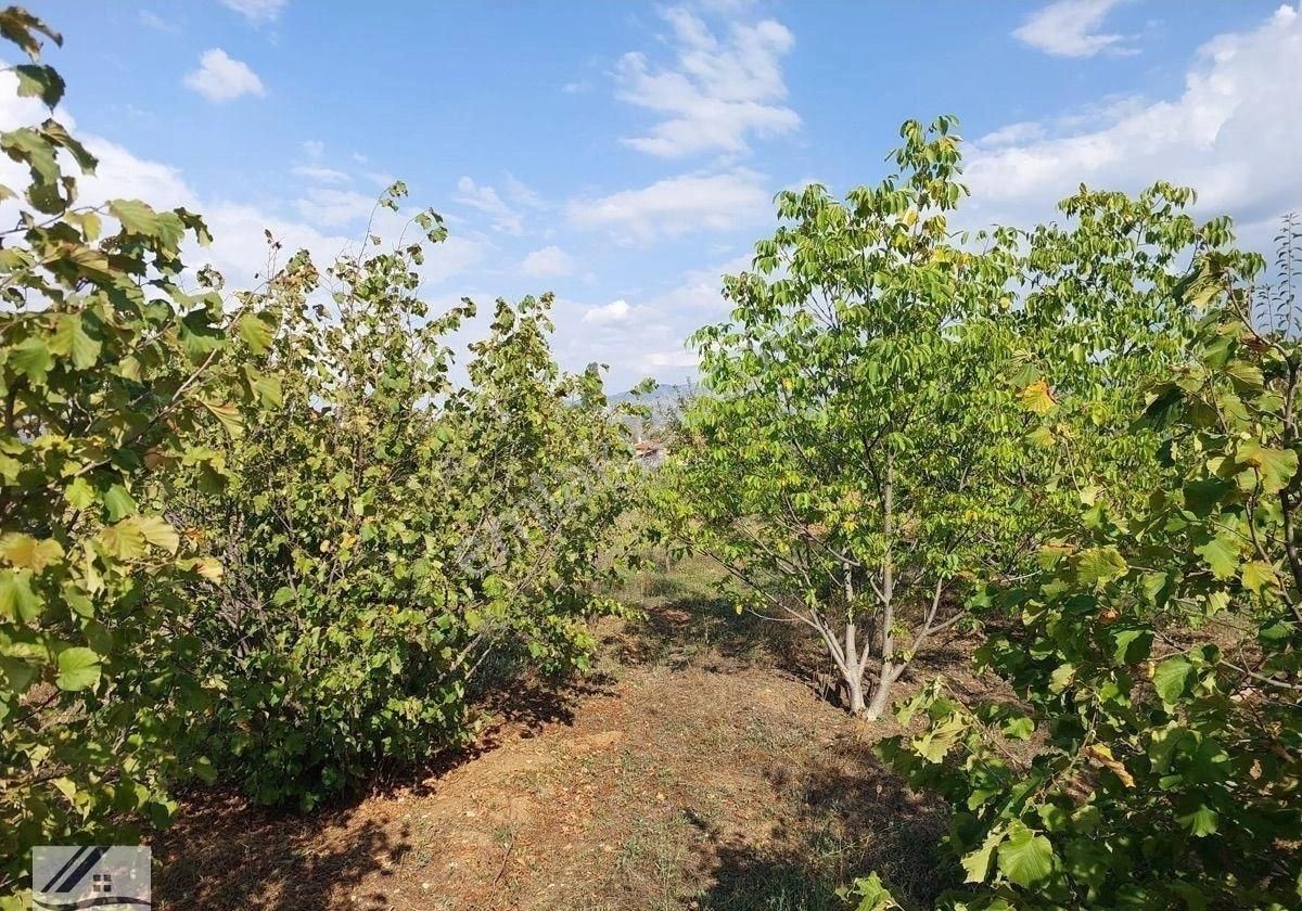Muğla Fethiyede İçinde Ev Mevcut Olan Satılık Tarla - Görsel 15