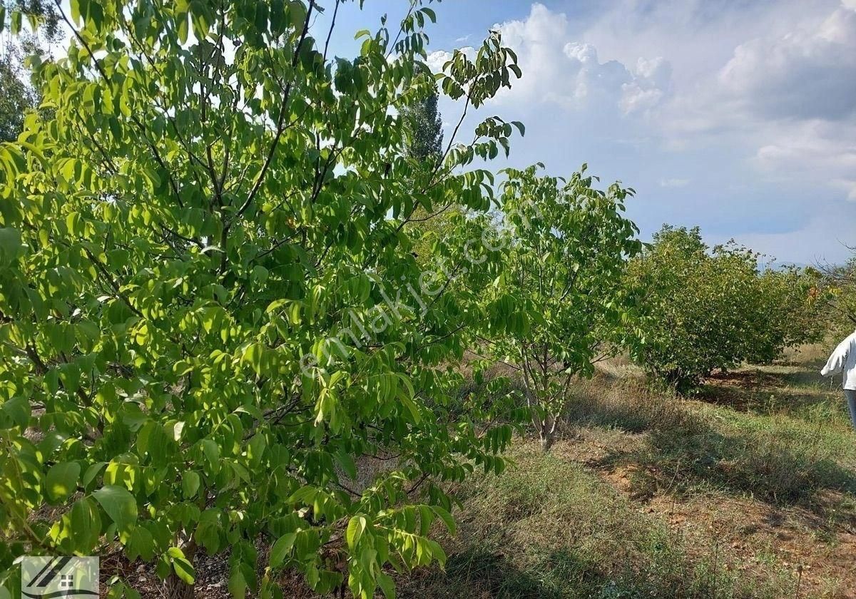 Muğla Fethiyede İçinde Ev Mevcut Olan Satılık Tarla - Görsel 12
