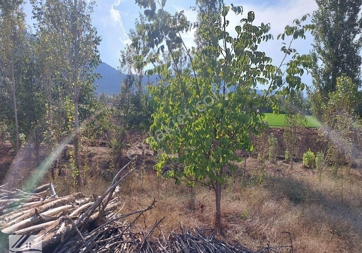 Muğla Fethiyede İçinde Ev Mevcut Olan Satılık Tarla - Görsel 16
