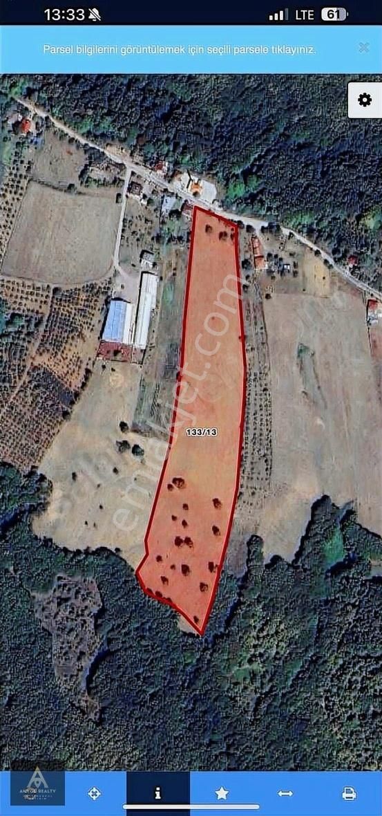 Akmeşe/mecidiye Fırsat Tarla