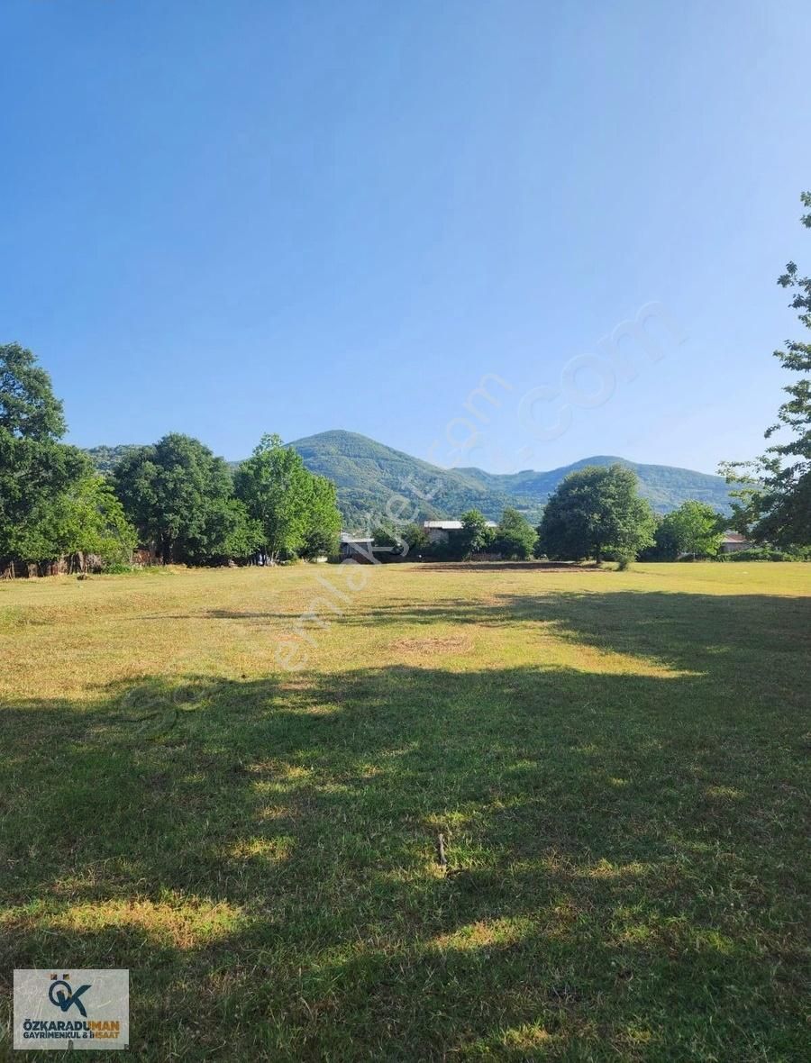 Kartepe Şevkatiye'de Yatırımlık 5.645 M² Tarla Fırsatı! - Görsel 2