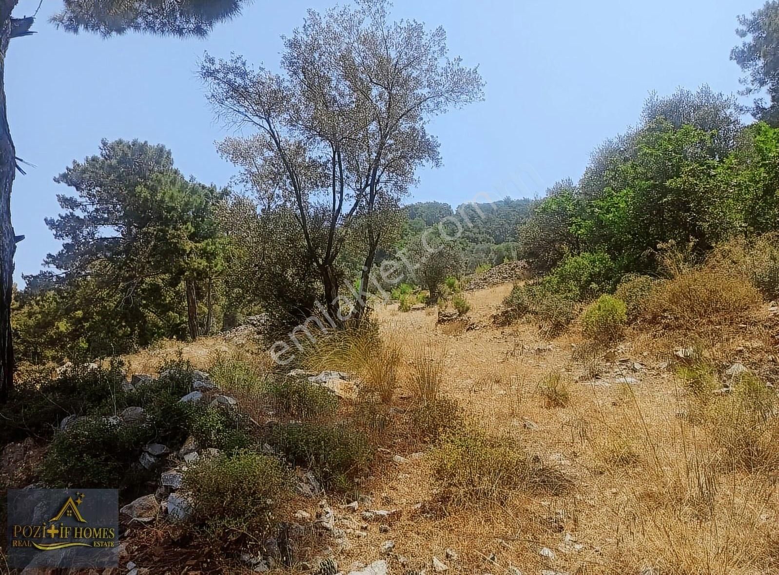 Fethiye Göcek'te Müstakil Tapu İmarlı Zeytinlik - Görsel 10