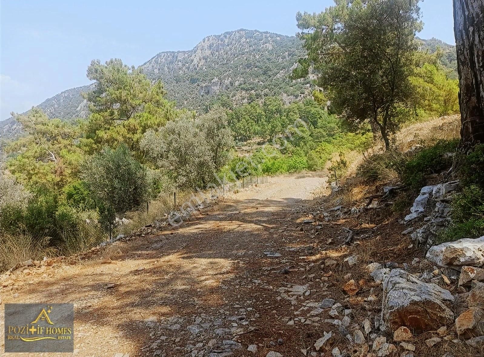 Fethiye Göcek'te Müstakil Tapu İmarlı Zeytinlik - Görsel 23