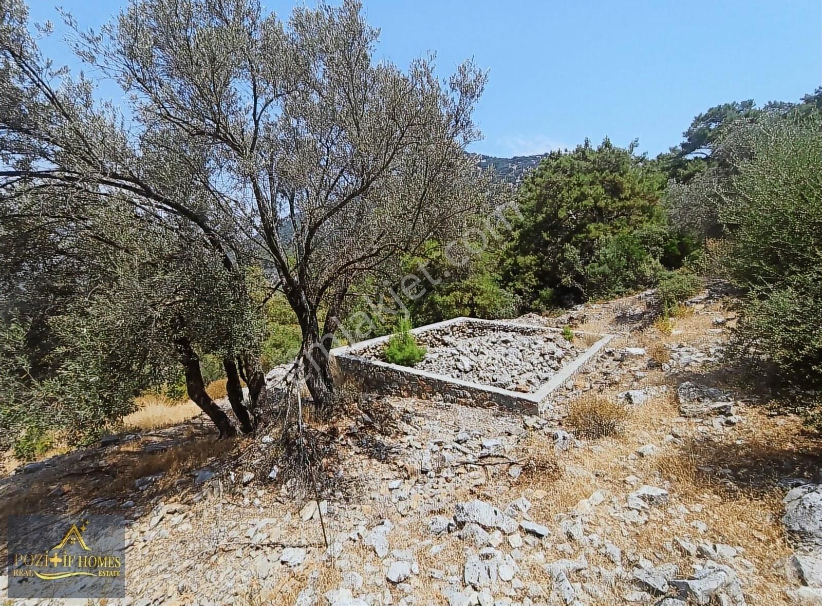 Fethiye Göcek'te Müstakil Tapu İmarlı Zeytinlik - Görsel 29