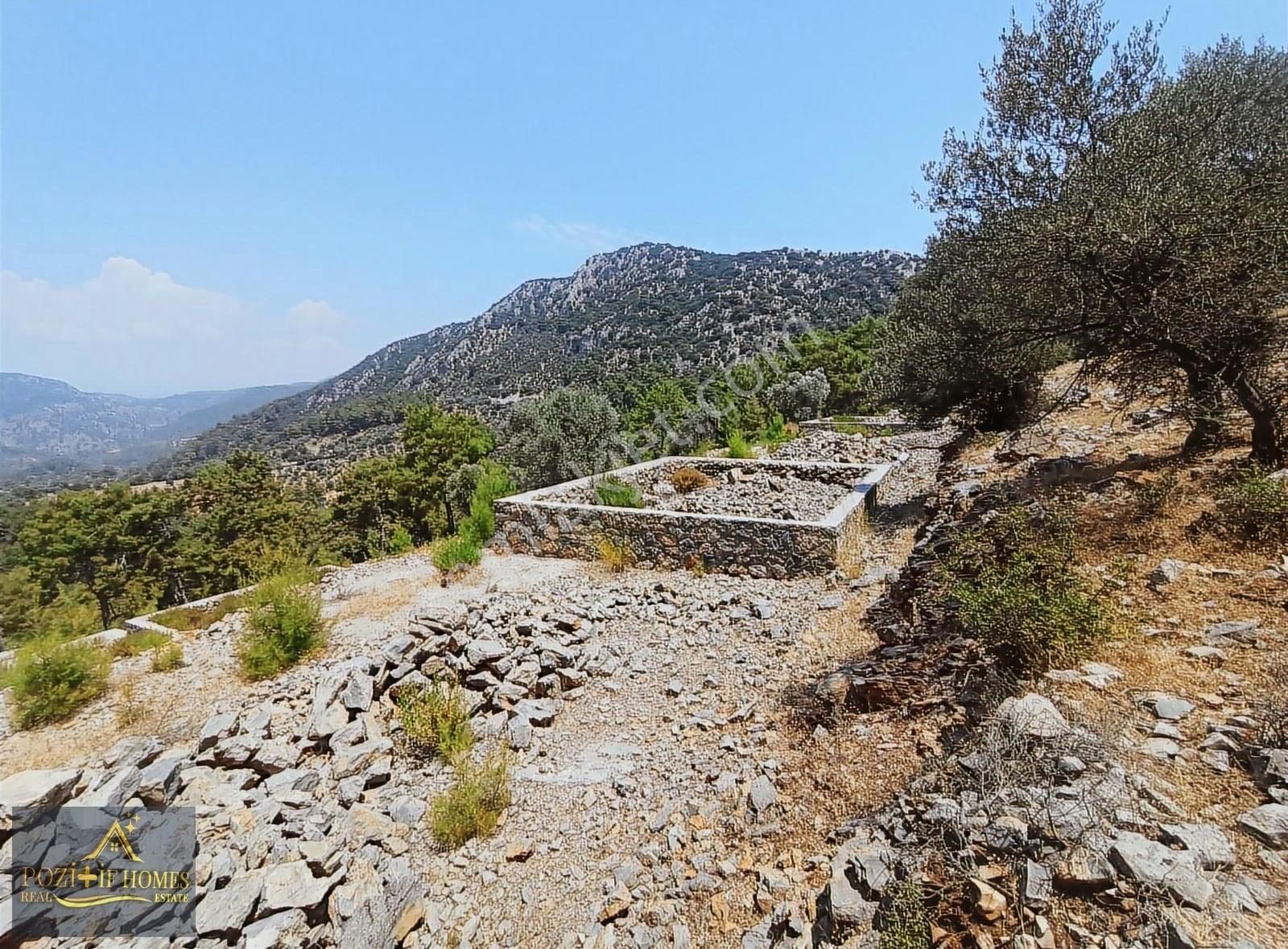 Fethiye Göcek'te Müstakil Tapu İmarlı Zeytinlik - Görsel 13