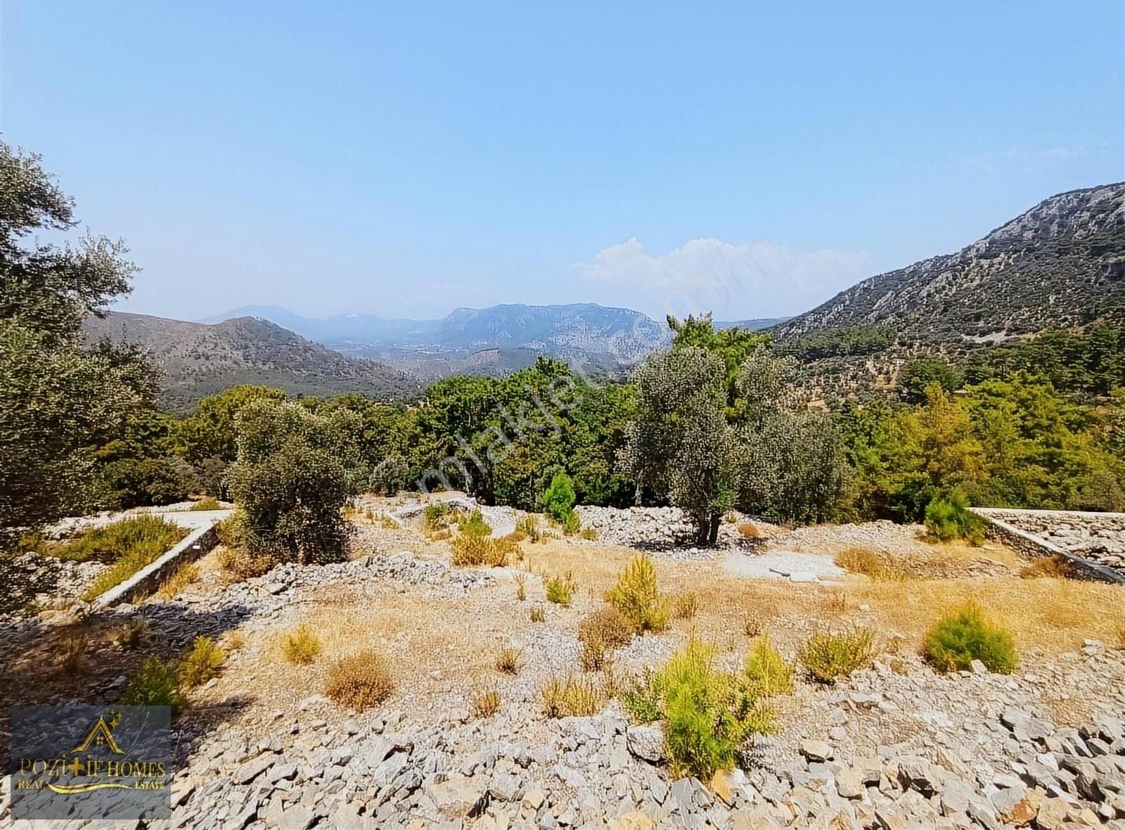 Fethiye Göcek'te Müstakil Tapu İmarlı Zeytinlik - Görsel 14