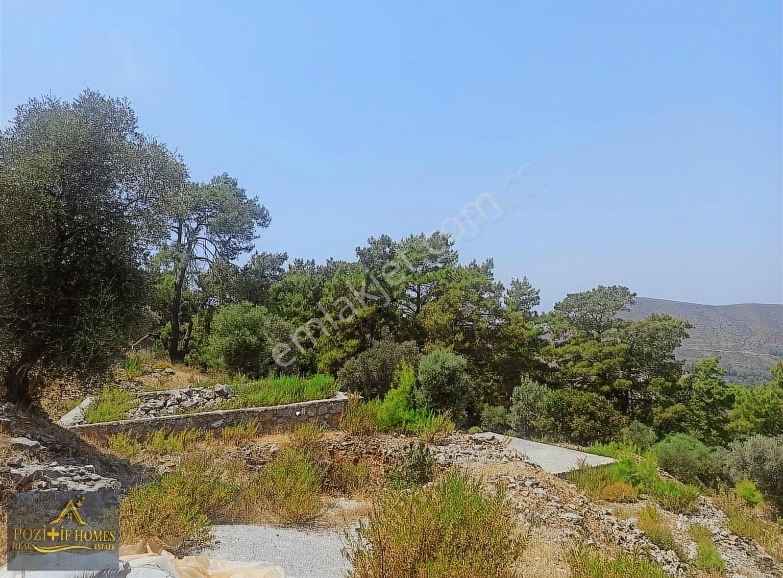 Fethiye Göcek'te Müstakil Tapu İmarlı Zeytinlik - Görsel 20