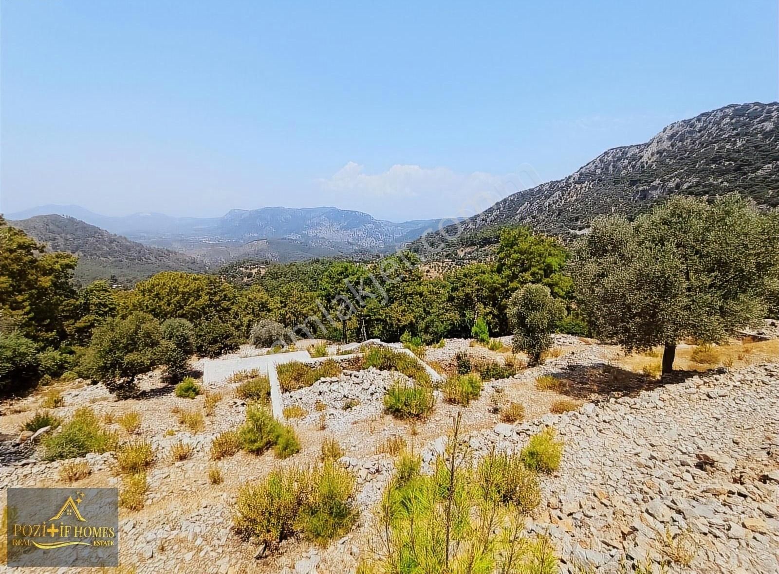 Fethiye Göcek'te Müstakil Tapu İmarlı Zeytinlik - Görsel 7