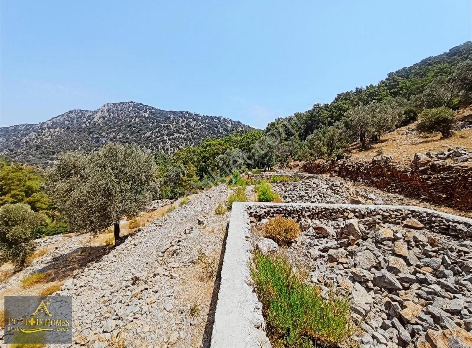 Fethiye Göcek'te Müstakil Tapu İmarlı Zeytinlik - Görsel 15