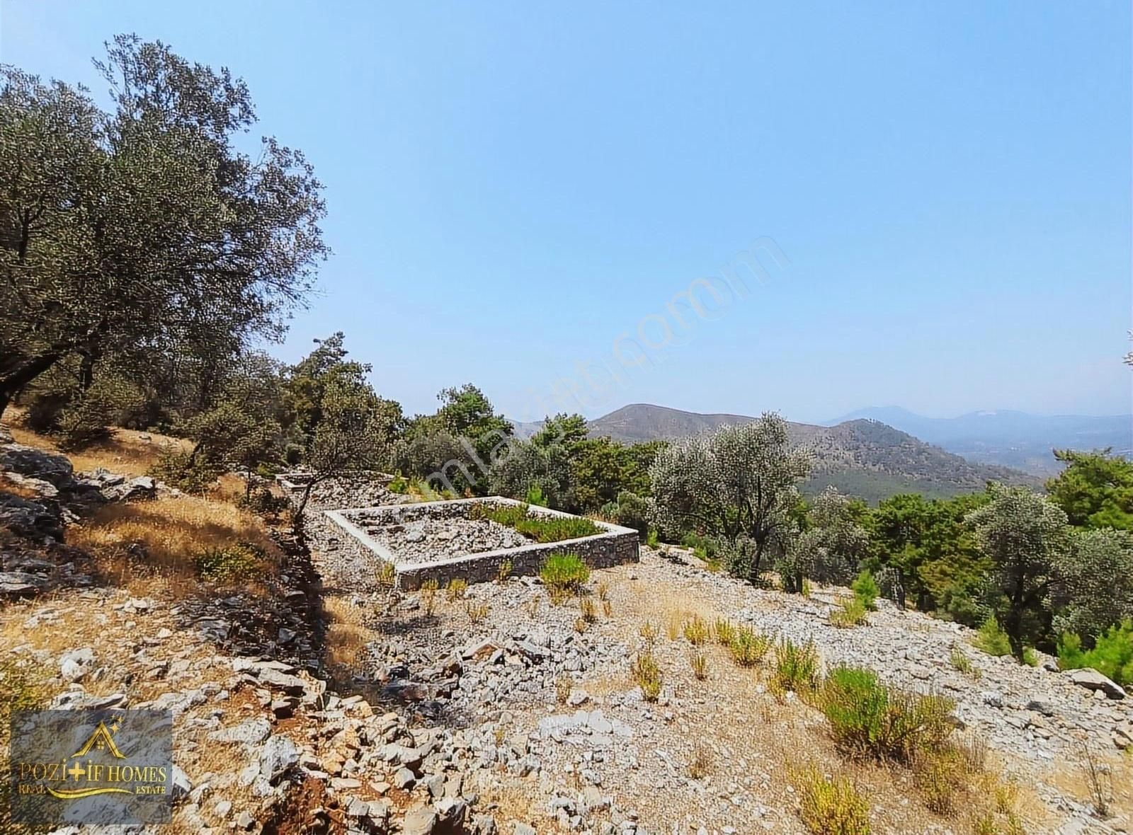 Fethiye Göcek'te Müstakil Tapu İmarlı Zeytinlik