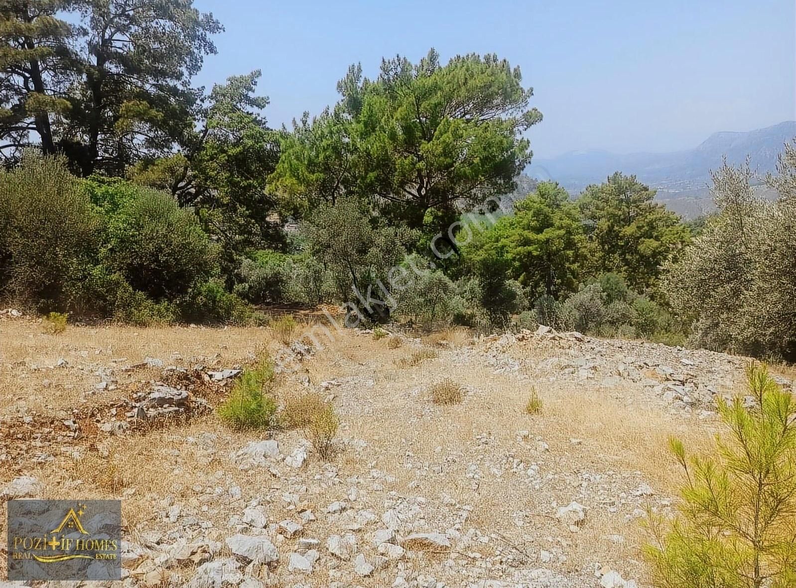 Fethiye Göcek'te Müstakil Tapu İmarlı Zeytinlik - Görsel 16