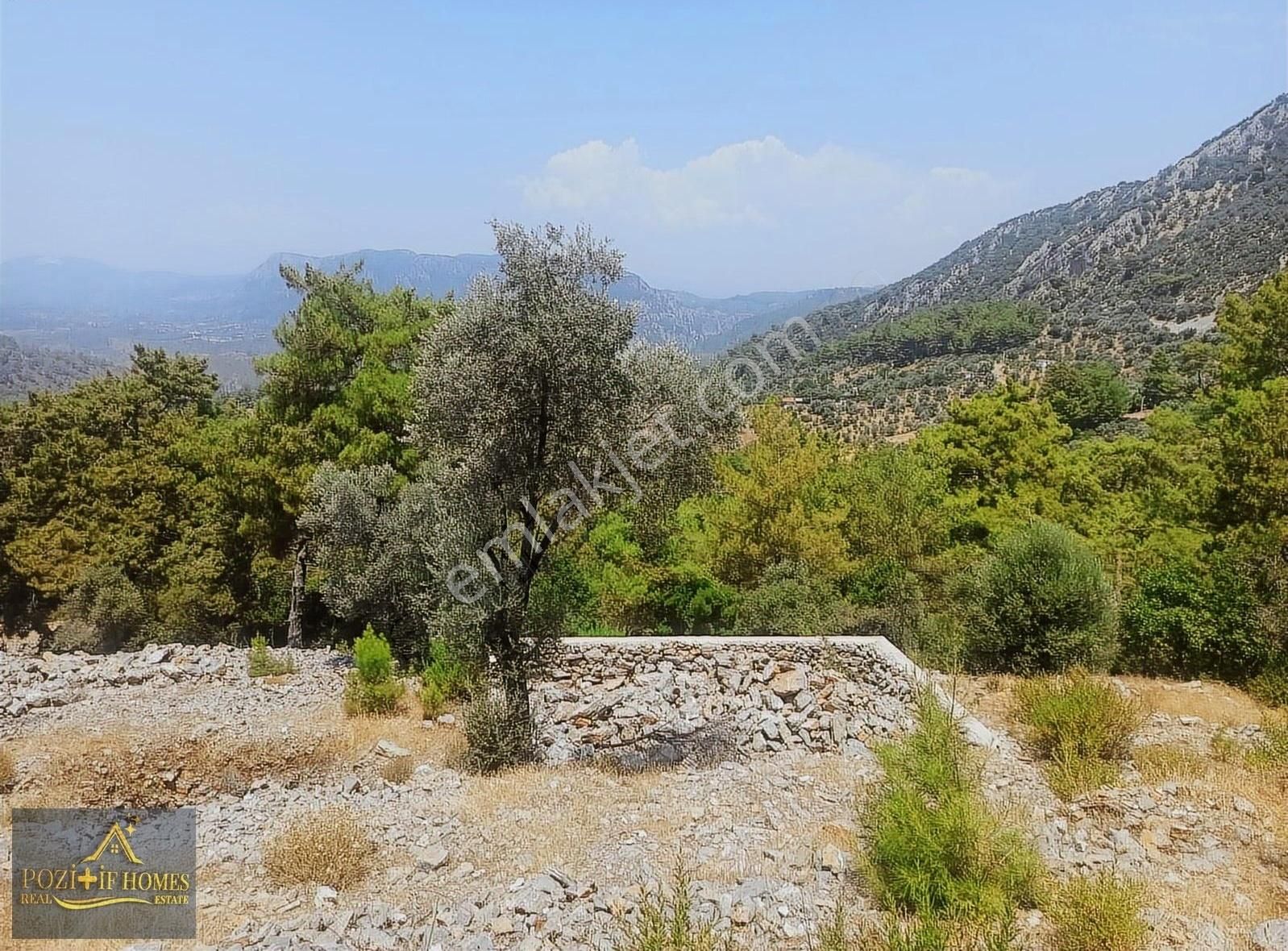 Fethiye Göcek'te Müstakil Tapu İmarlı Zeytinlik - Görsel 6