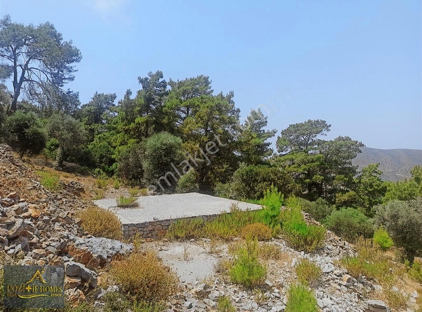 Fethiye Göcek'te Müstakil Tapu İmarlı Zeytinlik - Görsel 5