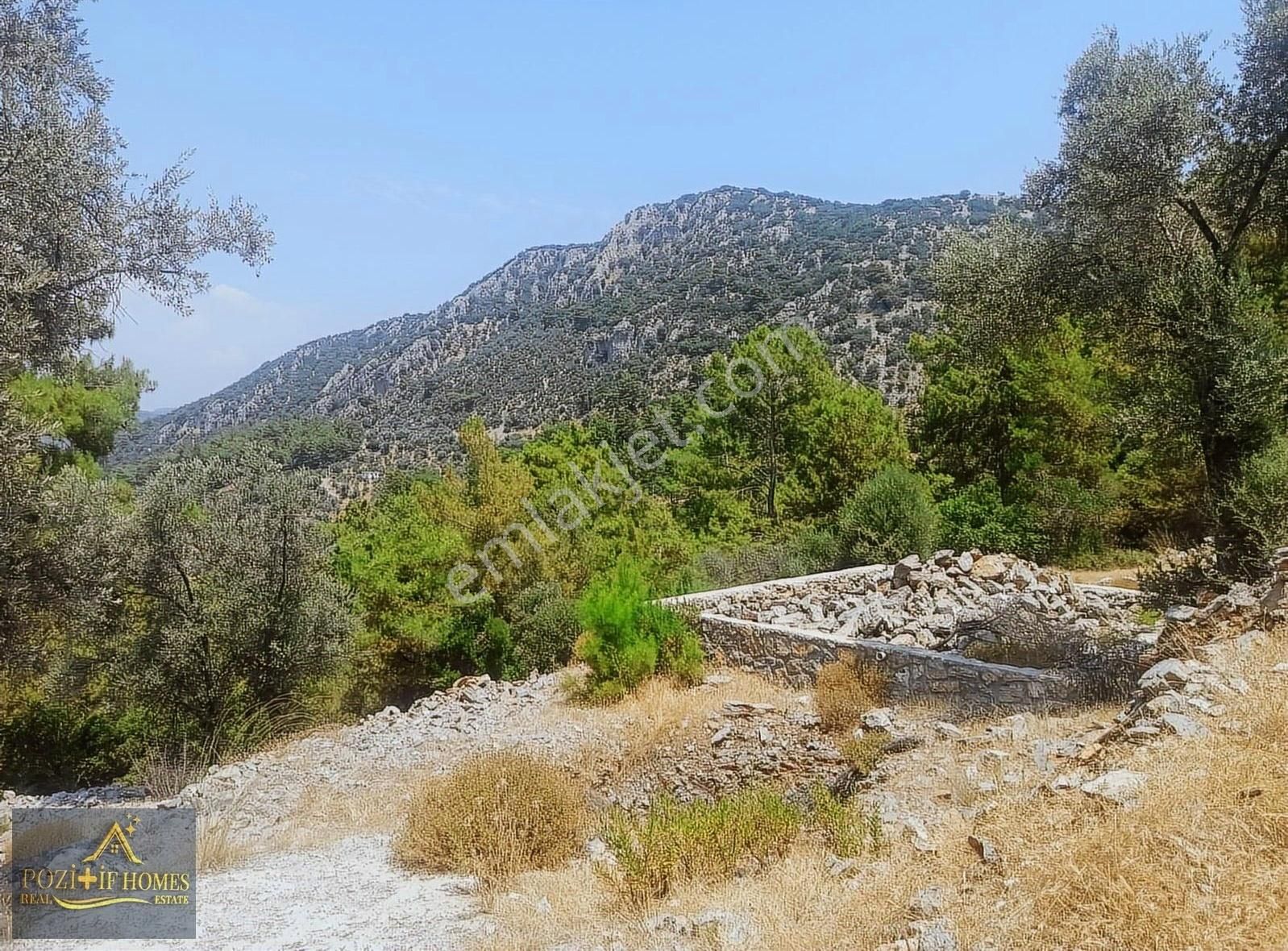 Fethiye Göcek'te Müstakil Tapu İmarlı Zeytinlik - Görsel 18