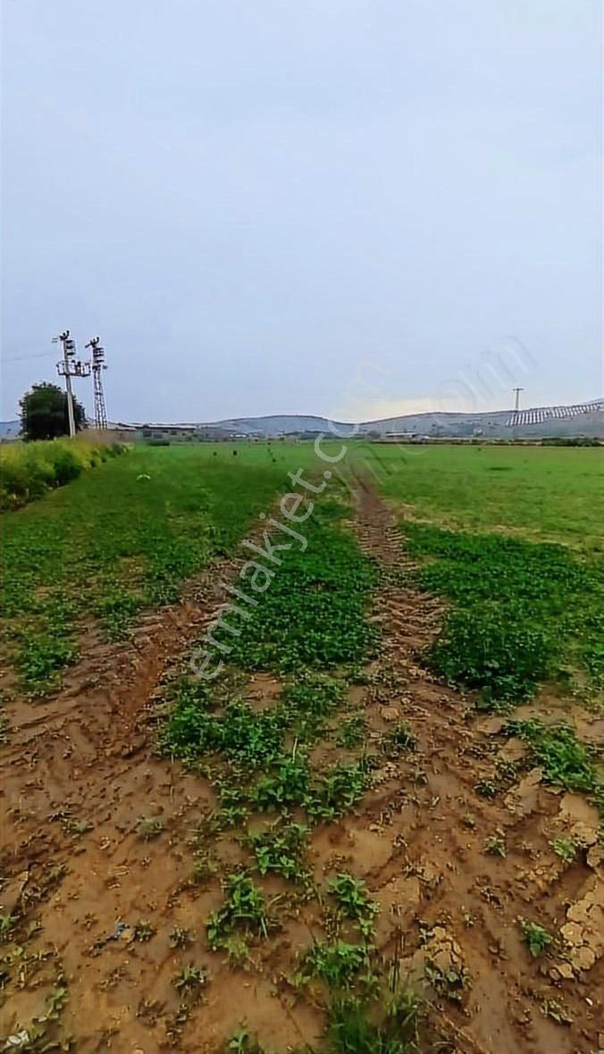 Eskiobada Satılık Dümdüz Tarla