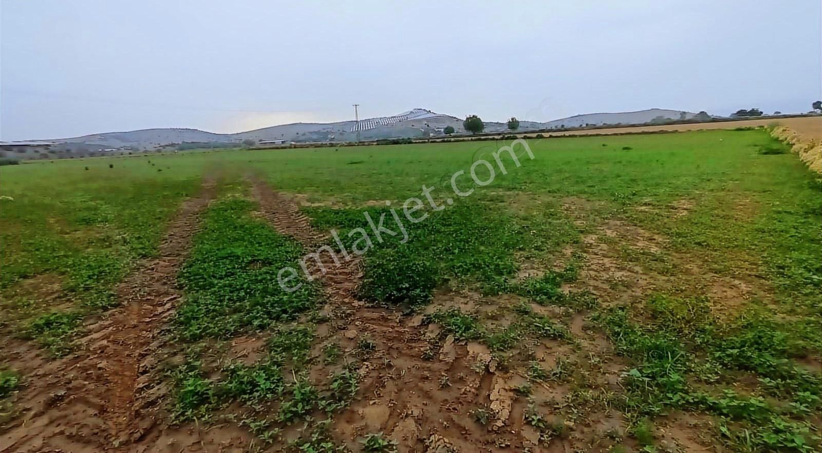 Eskiobada Satılık Dümdüz Tarla - Görsel 3