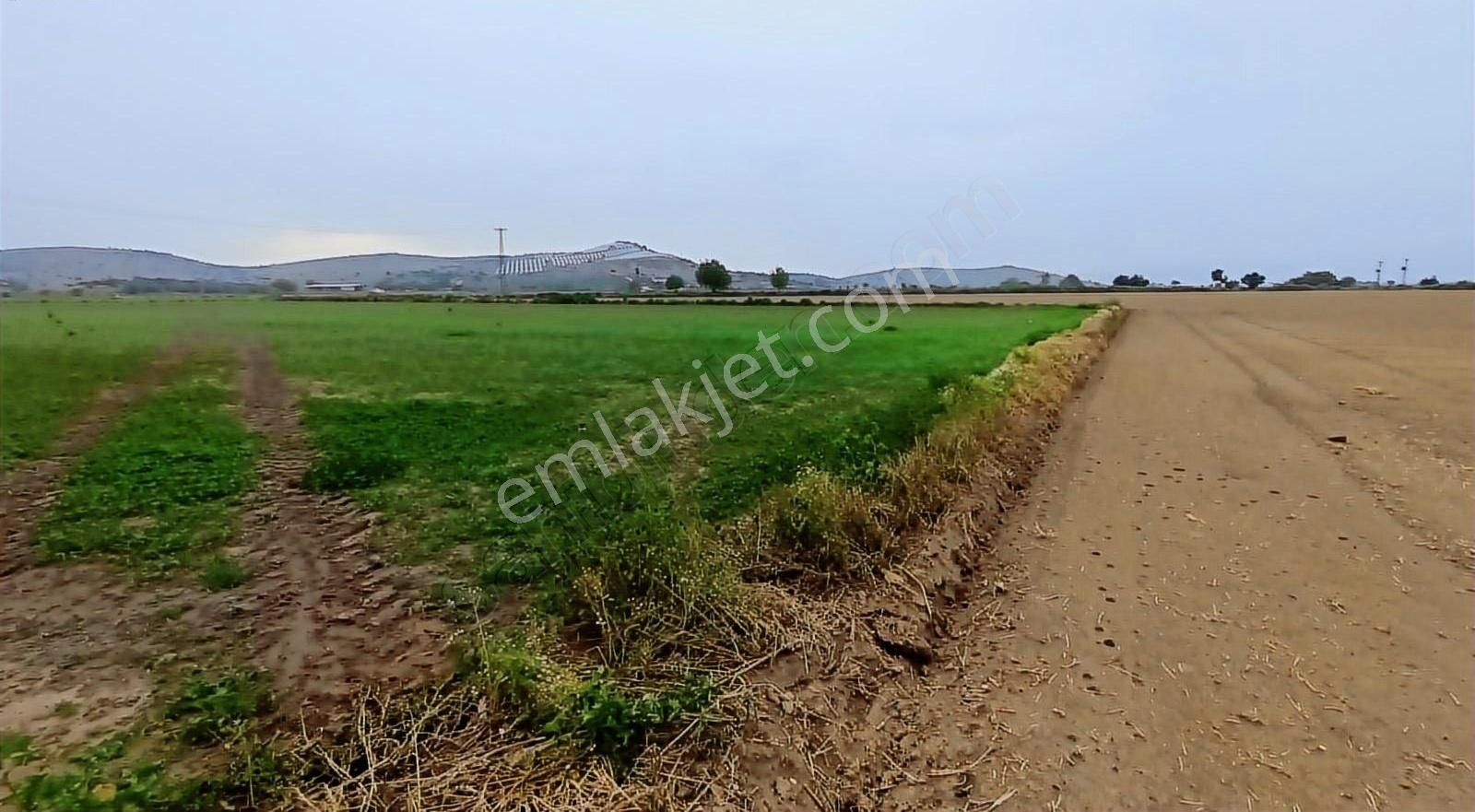 Eskiobada Satılık Dümdüz Tarla - Görsel 4