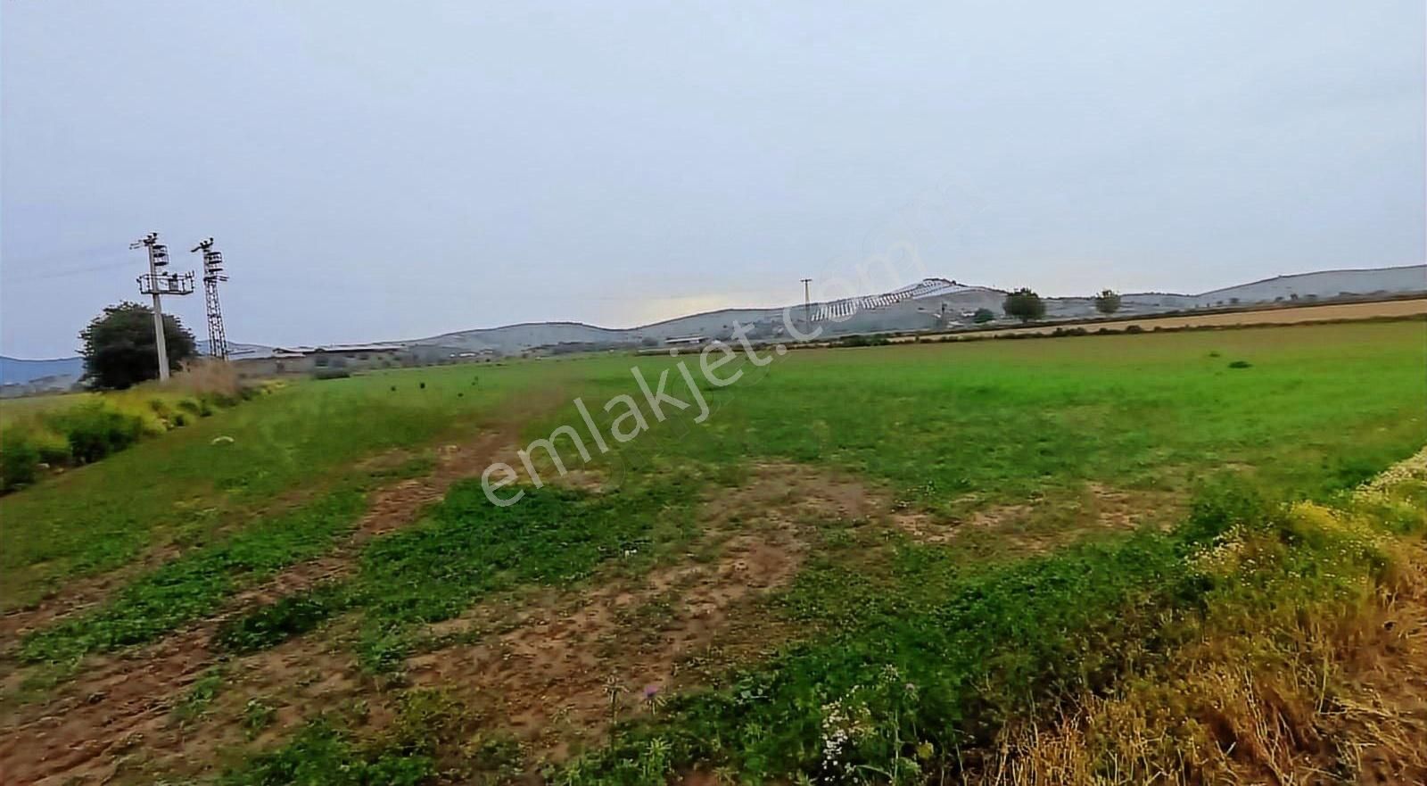 Eskiobada Satılık Dümdüz Tarla - Görsel 5