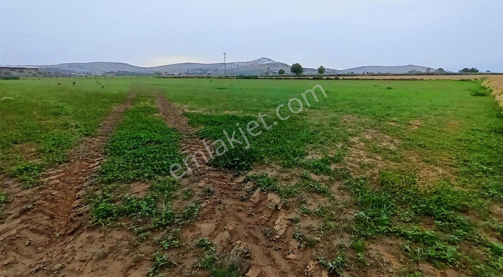 Eskiobada Satılık Dümdüz Tarla - Görsel 2