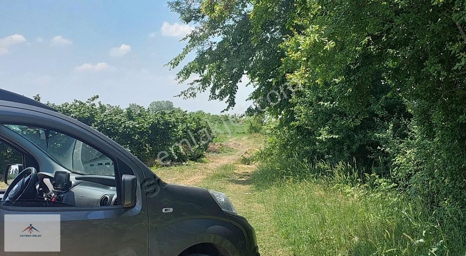 Hendek Organize Sanayi Karşısı Satılık Arazi - Görsel 5