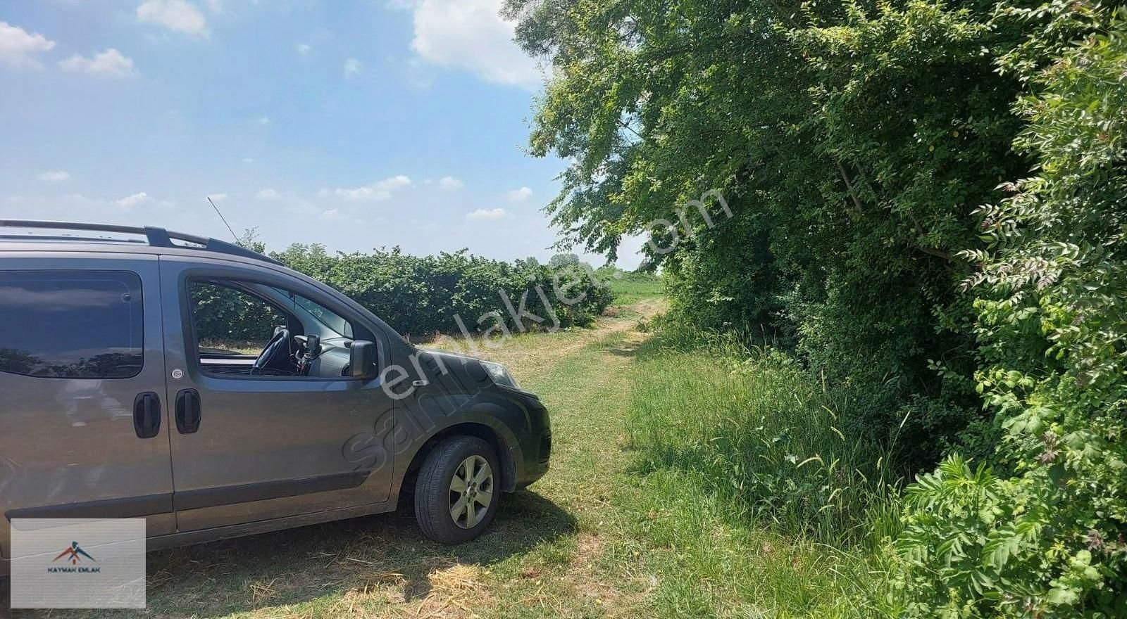 Hendek Organize Sanayi Karşısı Satılık Arazi - Görsel 6