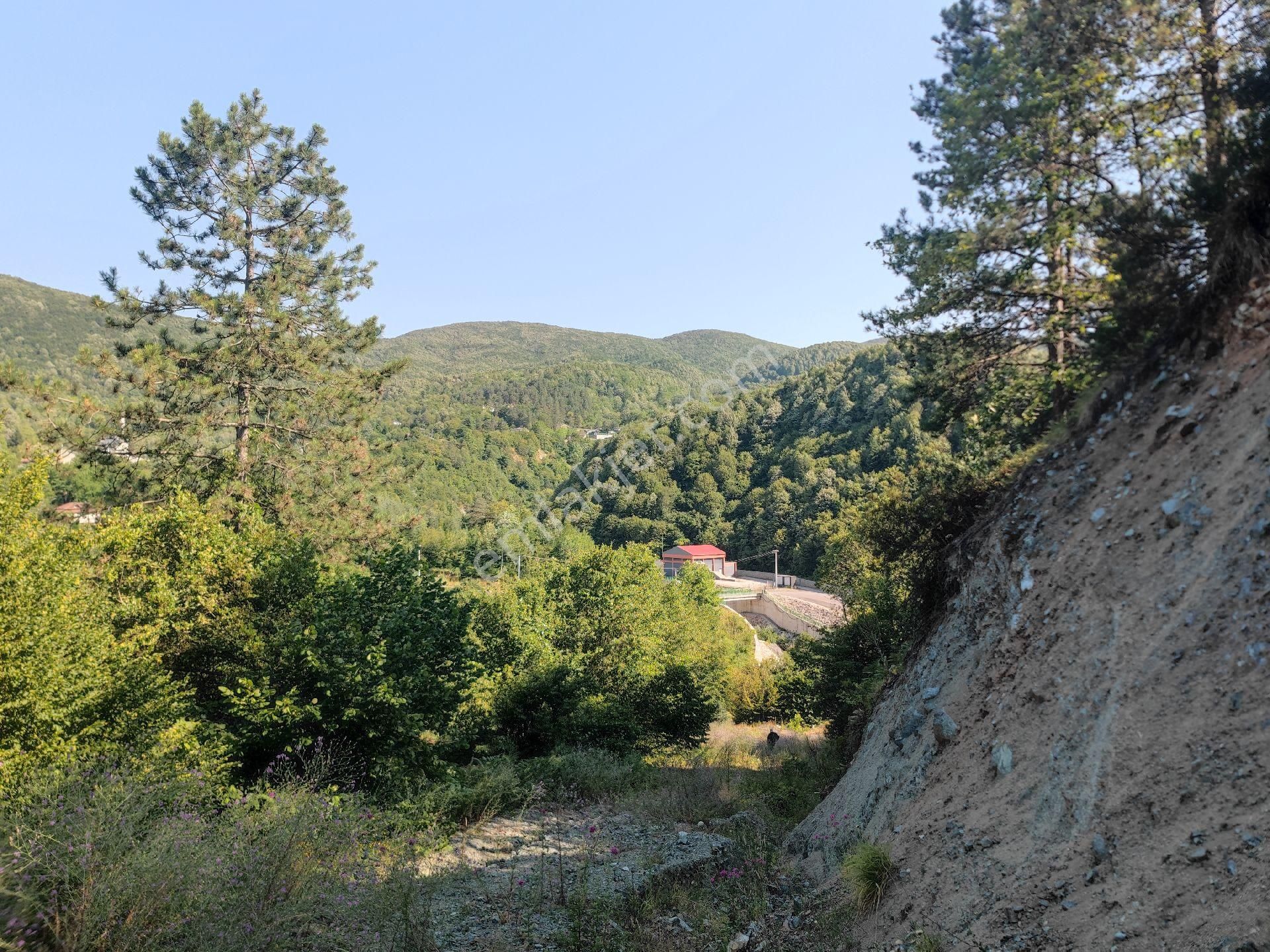 Sapanca İkramiye Mah.18 Dönüm Müstakil Tapulu Tarla - Görsel 8