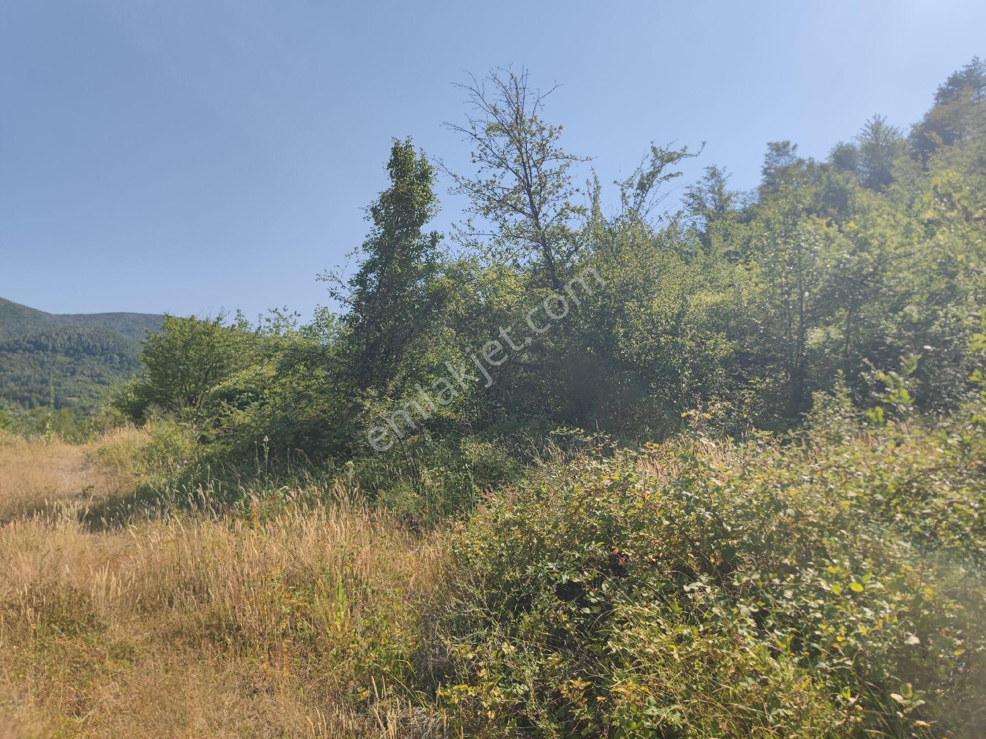 Sapanca İkramiye Mah.18 Dönüm Müstakil Tapulu Tarla - Görsel 16