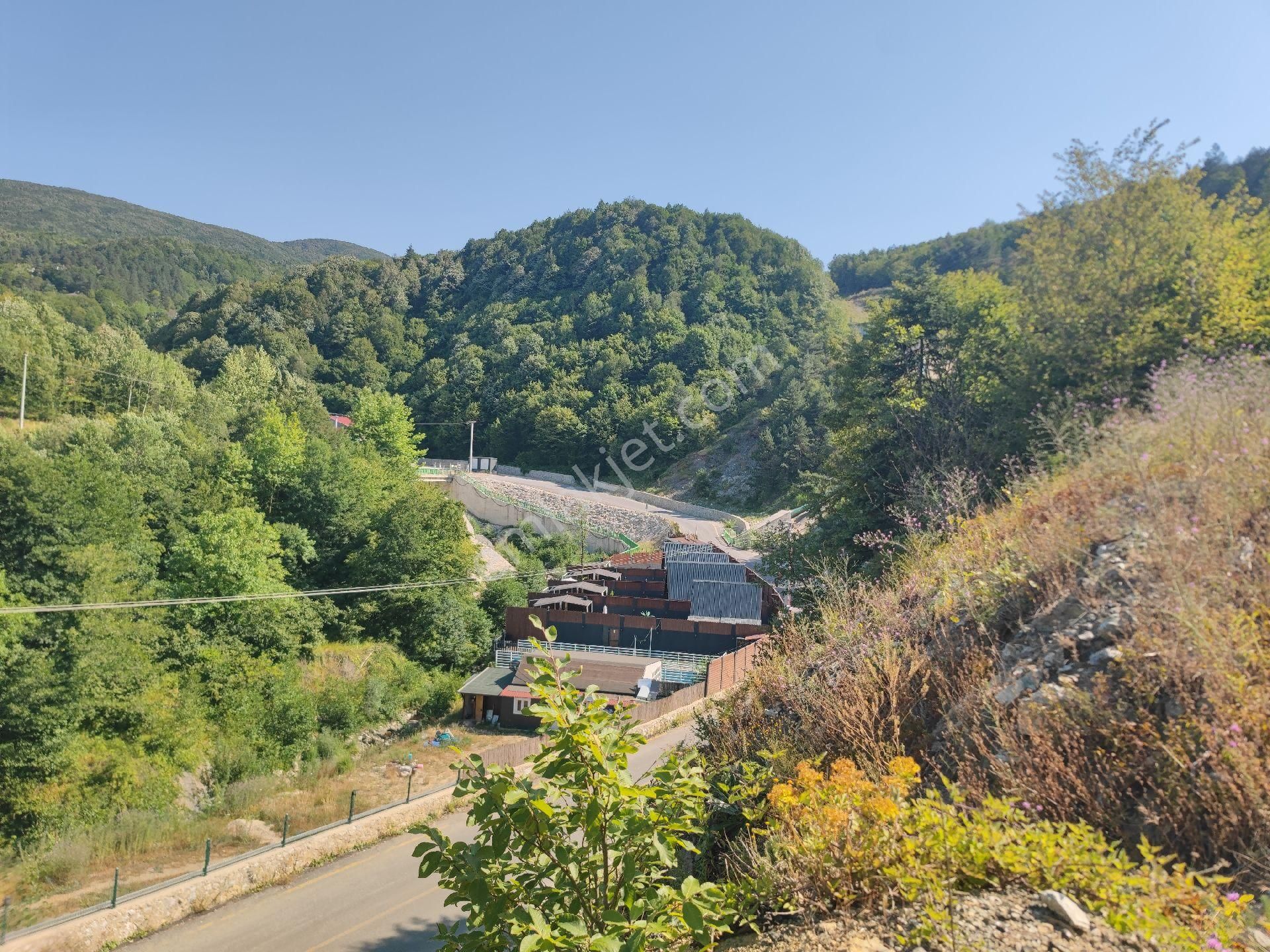 Sapanca İkramiye Mah.18 Dönüm Müstakil Tapulu Tarla - Görsel 2