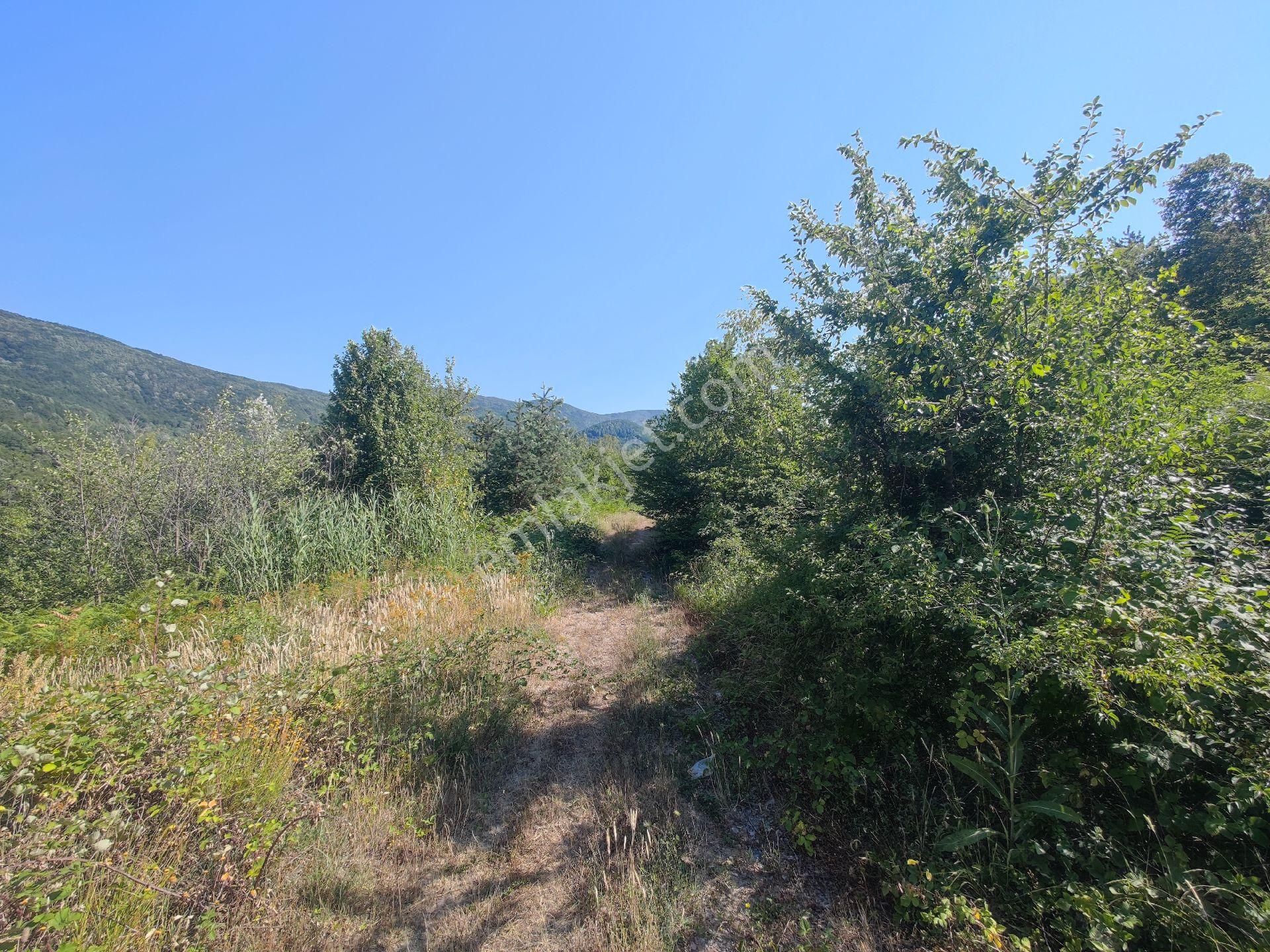 Sapanca İkramiye Mah.18 Dönüm Müstakil Tapulu Tarla - Görsel 30