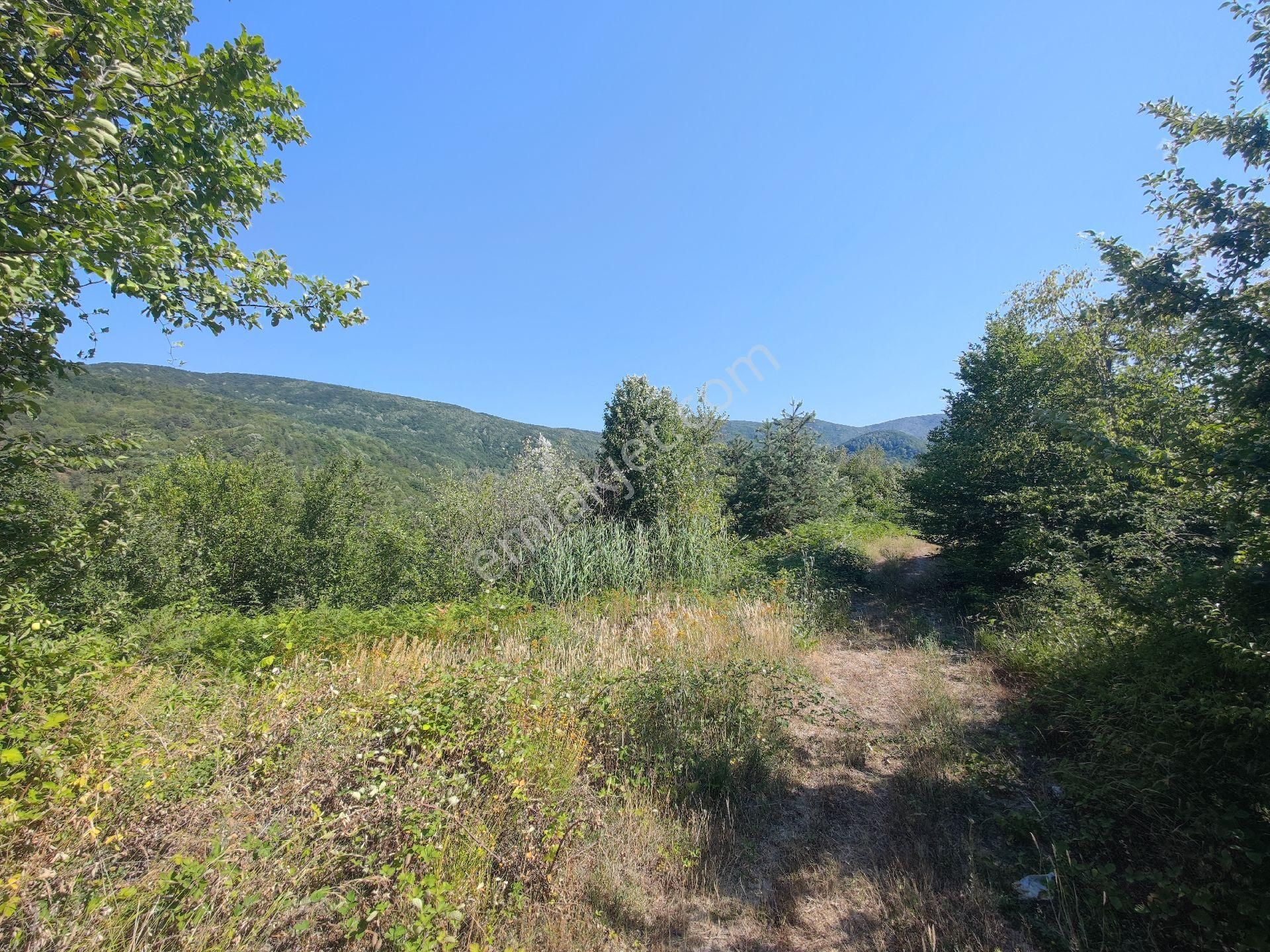 Sapanca İkramiye Mah.18 Dönüm Müstakil Tapulu Tarla - Görsel 29