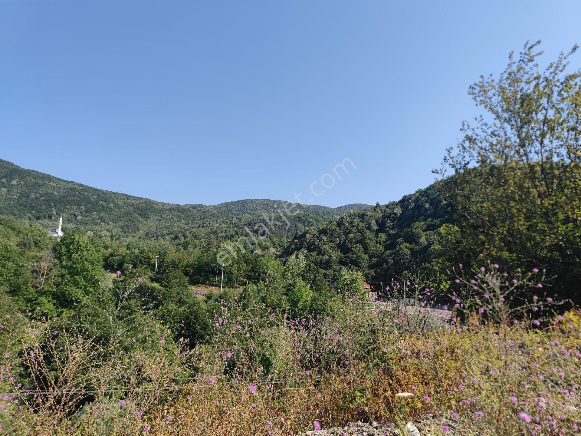 Sapanca İkramiye Mah.18 Dönüm Müstakil Tapulu Tarla - Görsel 4