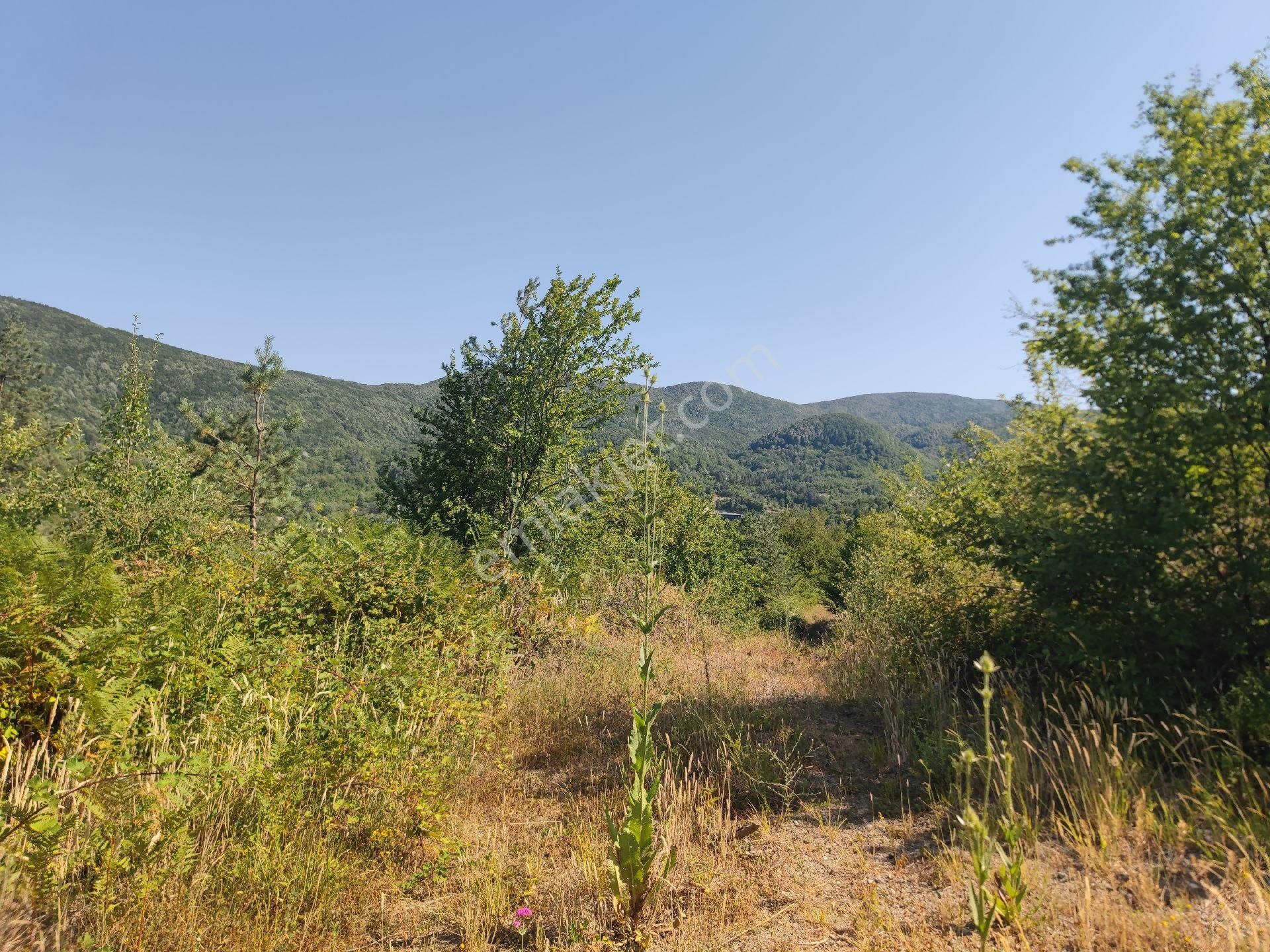 Sapanca İkramiye Mah.18 Dönüm Müstakil Tapulu Tarla - Görsel 26