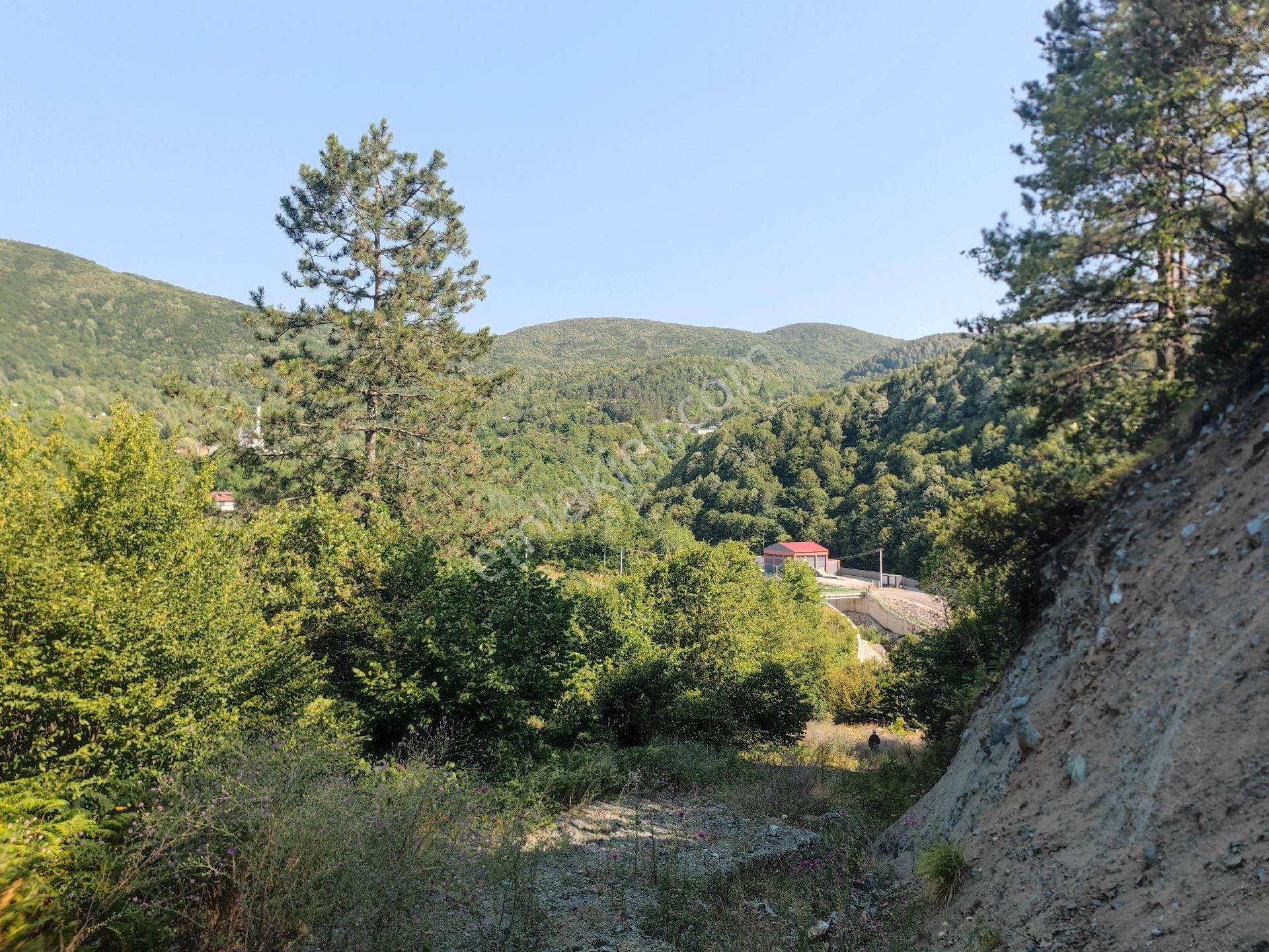 Sapanca İkramiye Mah.18 Dönüm Müstakil Tapulu Tarla - Görsel 9