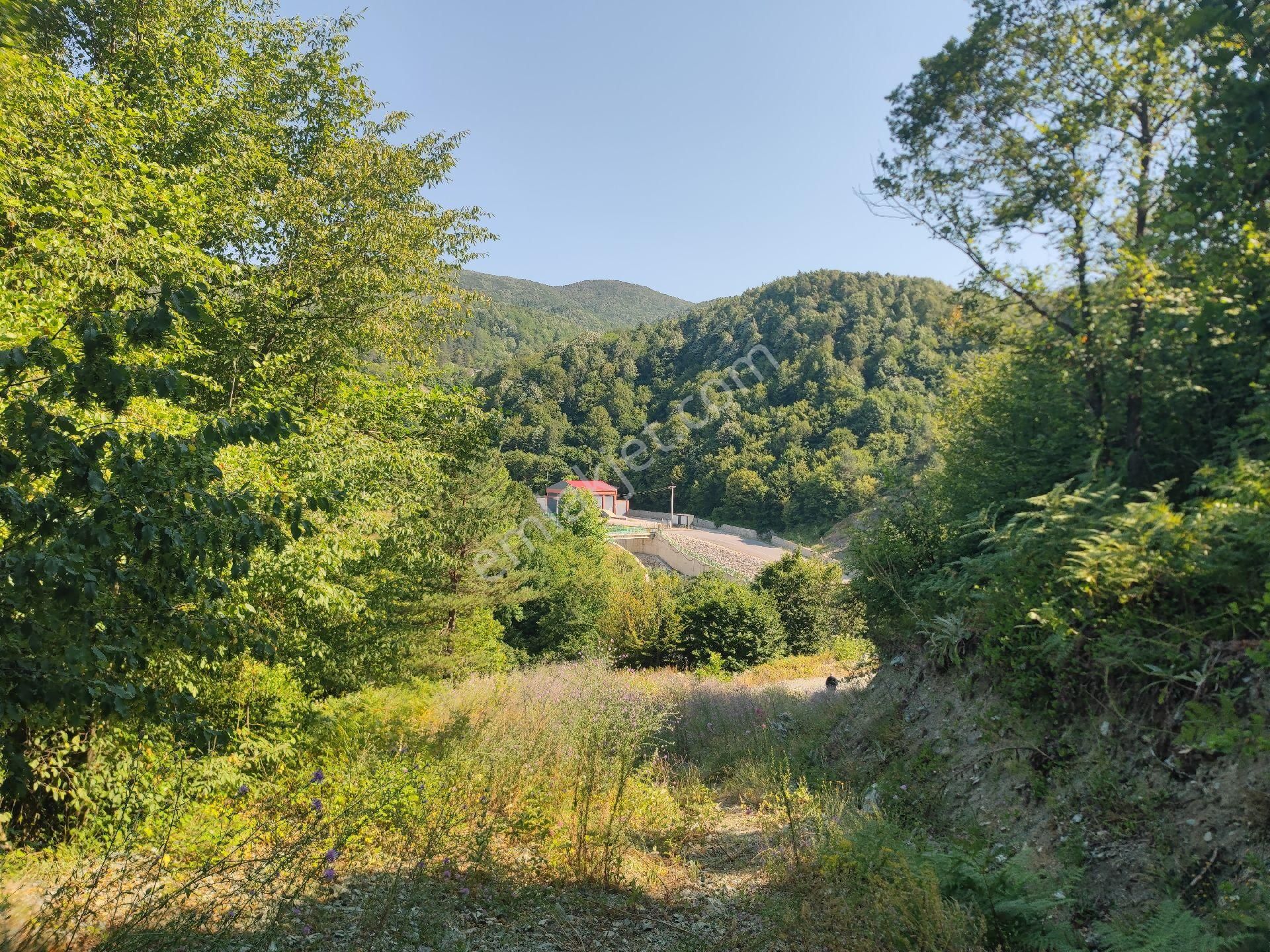Sapanca İkramiye Mah.18 Dönüm Müstakil Tapulu Tarla - Görsel 7