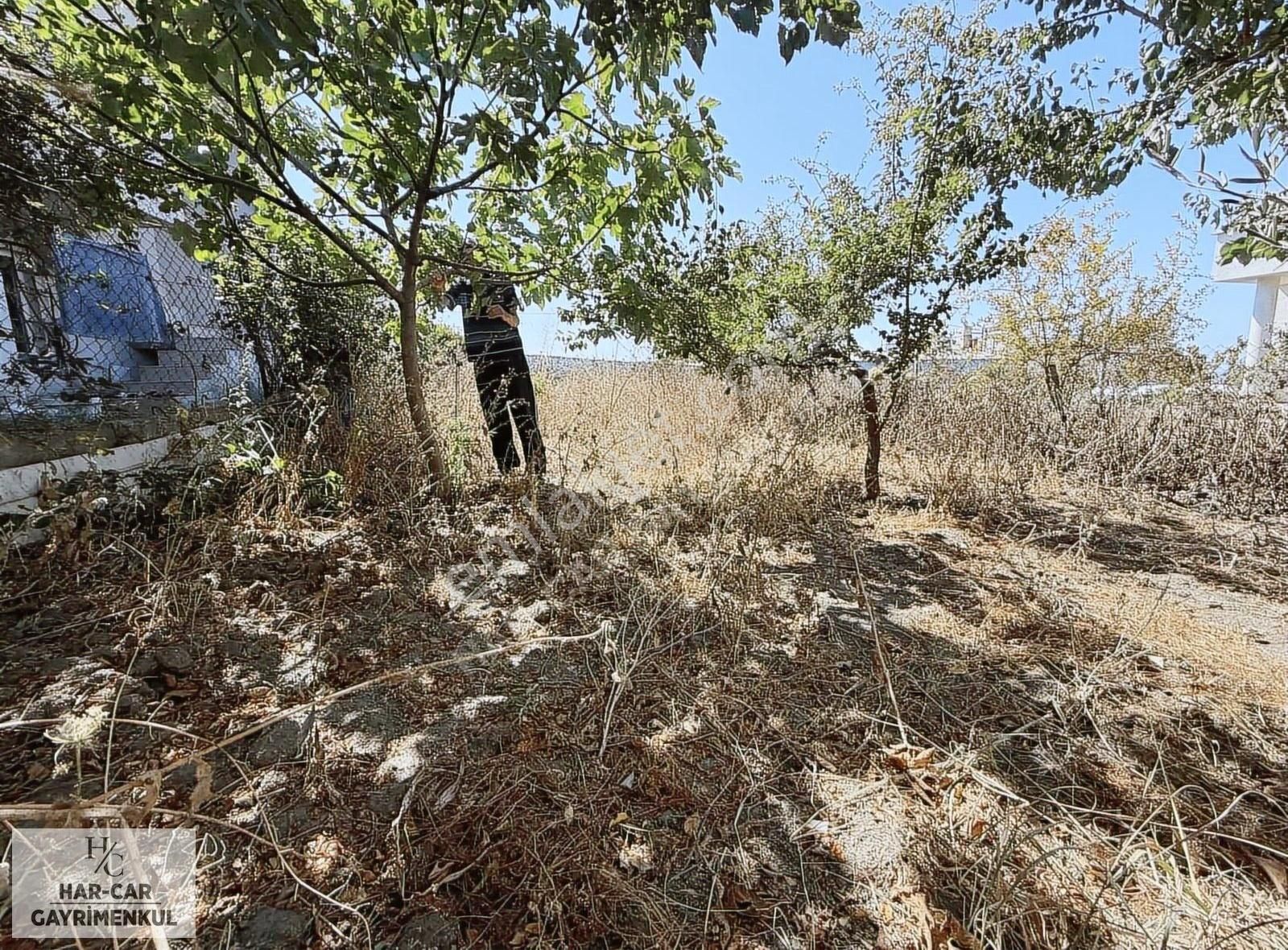 Ayazmada Yola Cephe Deniz Manzaralı Fırsat Arsa - Görsel 9