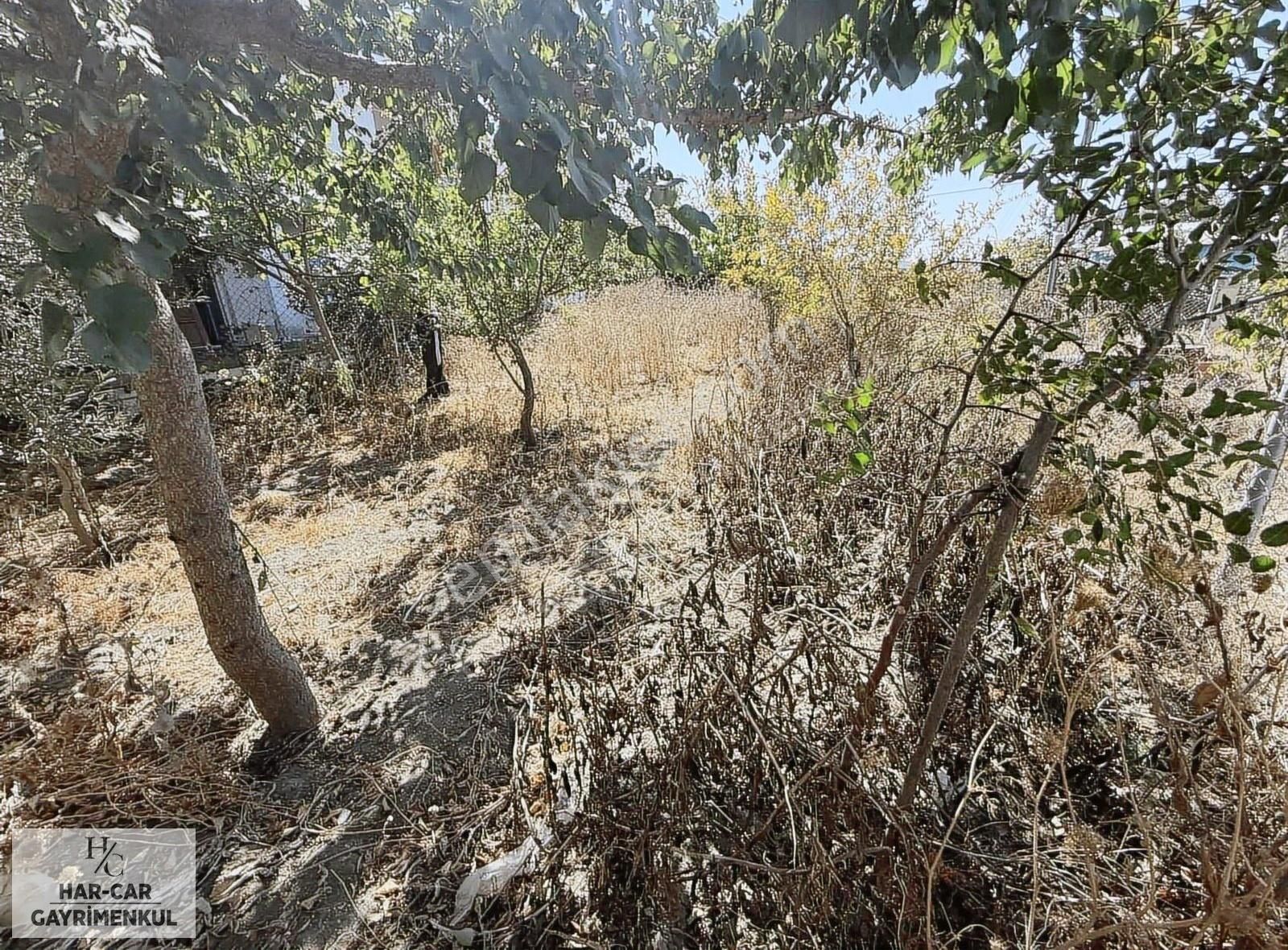 Ayazmada Yola Cephe Deniz Manzaralı Fırsat Arsa - Görsel 3