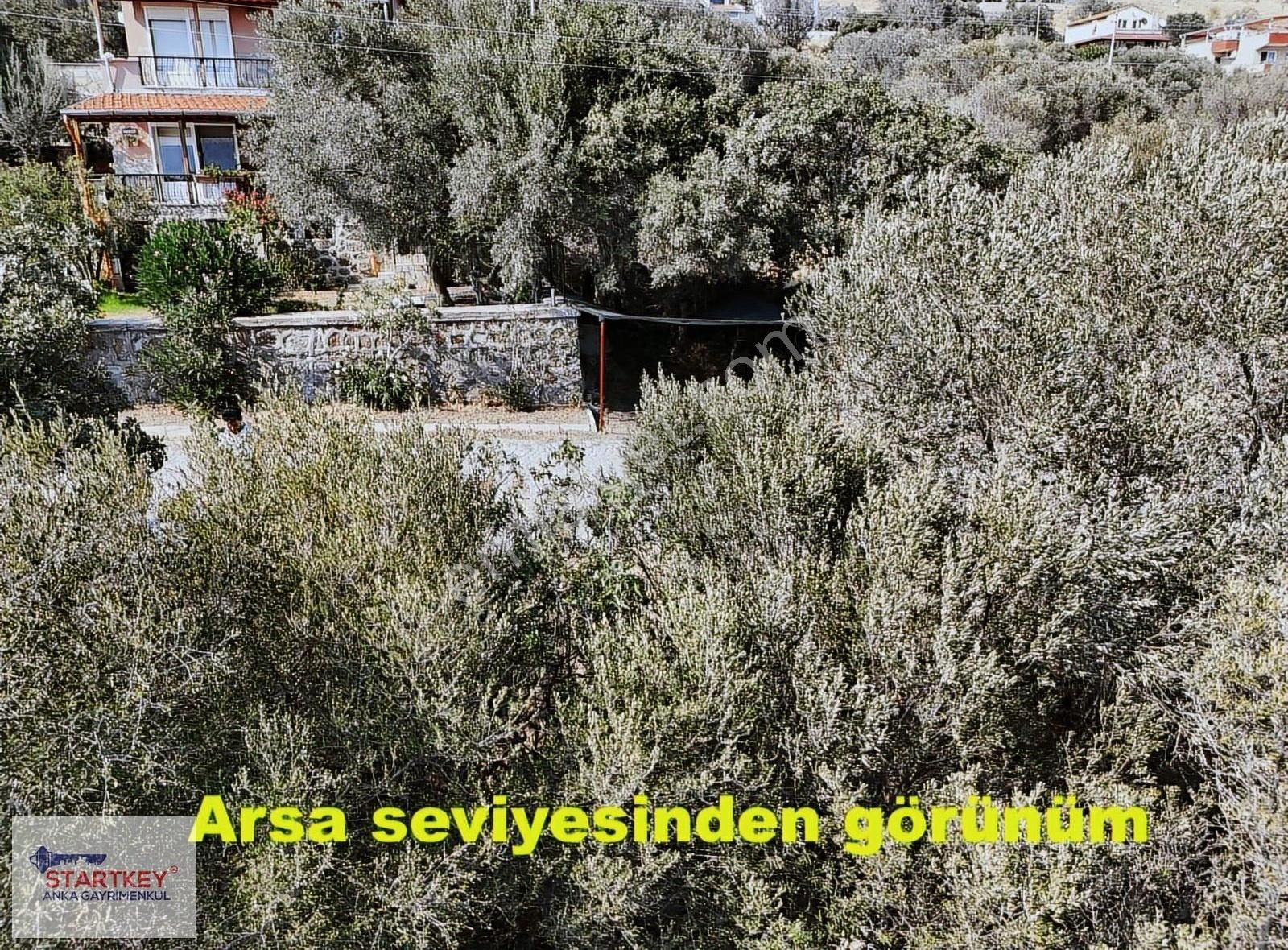 Startkey Anka'dan Çandarlı Bimeyko'da Satılık Villa Arsası - Görsel 5
